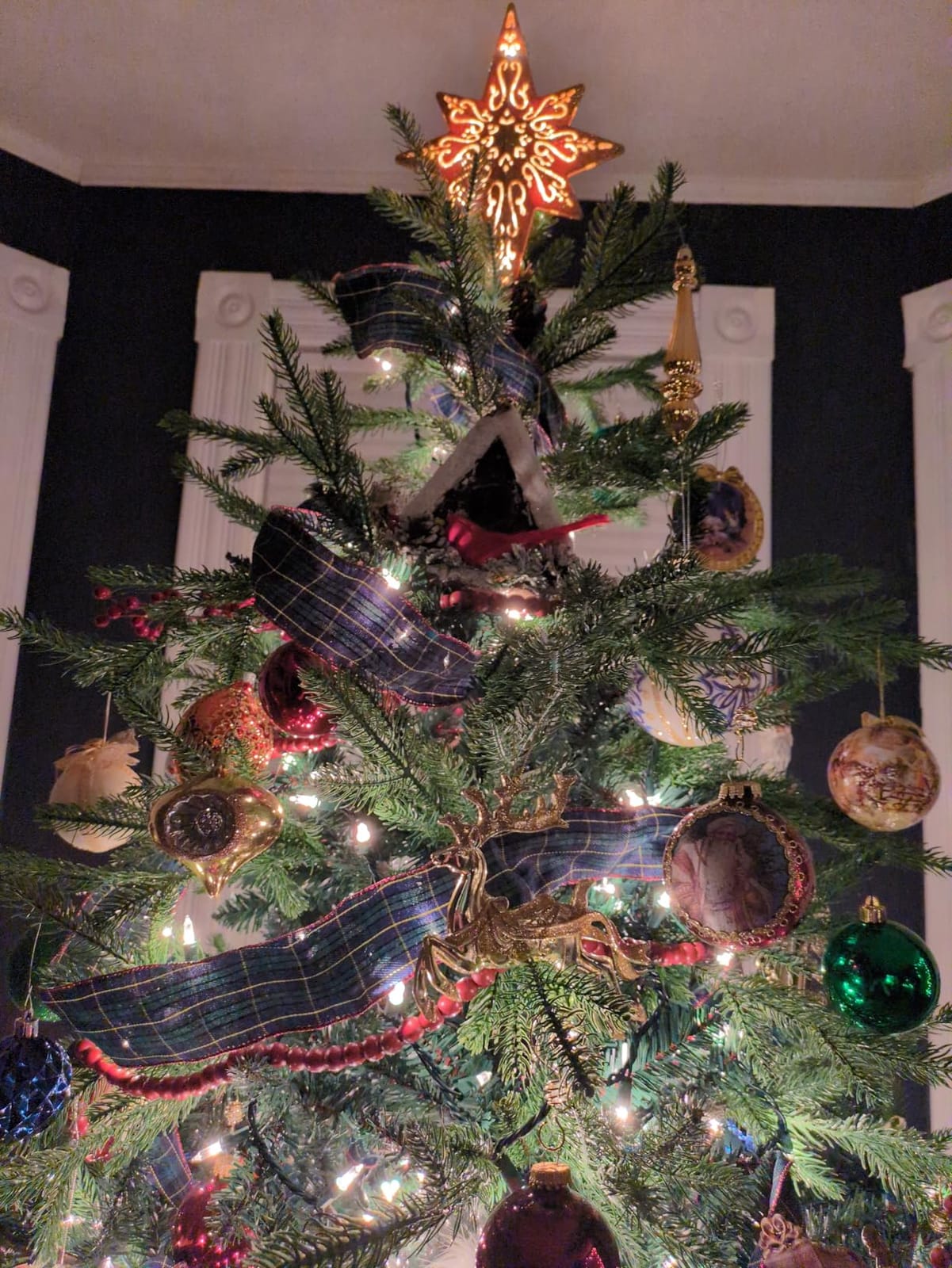 HOMCOM 7.5 Foot Artificial Christmas Tree, Nordic Pine, Green customer photo 2
