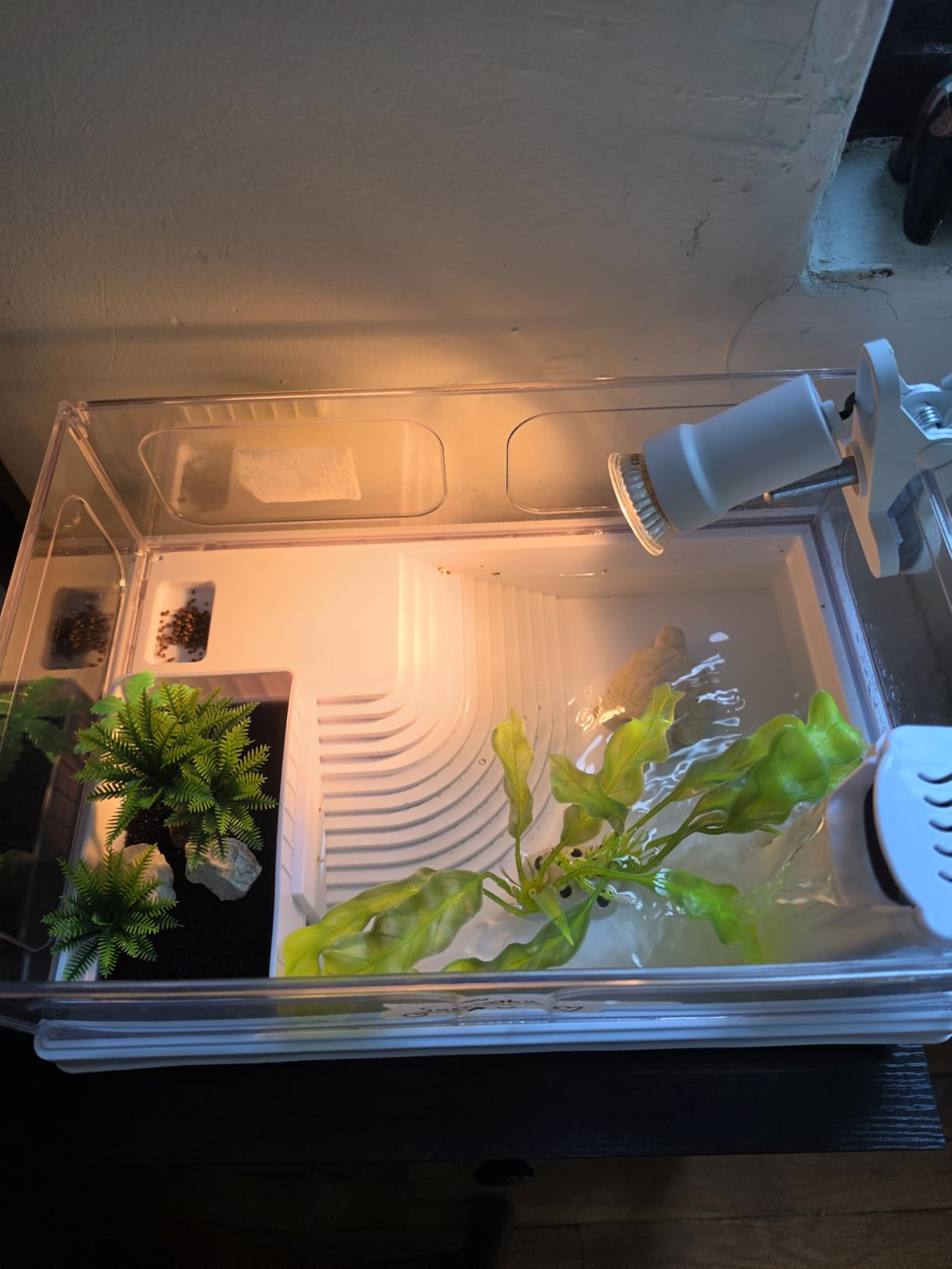 MoonOrange Small Turtle Tank Kit(Tank+Light+Filter), Acrylic Turtle Tank Starter Kit with Bask Platform, Bottom Drain, Multi-Function Area for Small Reptiles.(White) customer photo 1