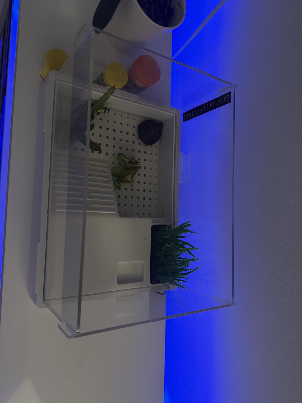 MoonOrange Small Turtle Tank Kit(Tank+Light+Filter), Acrylic Turtle Tank Starter Kit with Bask Platform, Bottom Drain, Multi-Function Area for Small Reptiles.(White) customer photo 2