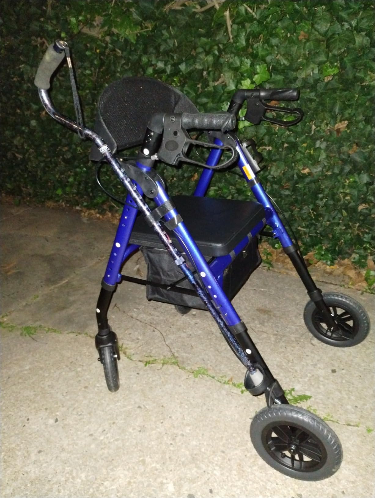 ELENKER Rollator Walker for Seniors, 10 in Non-Pneumatic Wheels, Red | Padded Seat, Extra Wide Backrest, Adjustable Seat & Handle Height, Storage Box, Cane Holder & Cup Holder customer photo 1