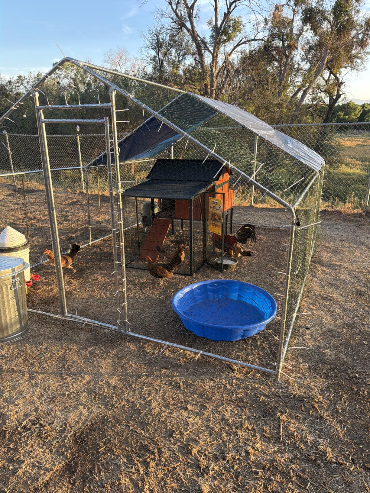 HITTITE Large Metal Chicken Coop with Run, 19.19 x 9.84 x 6.56 ft Walk in Poultry Cage Chicken Run Pen, Outdoor Chicken Runs for Yard with Waterproof & Anti-UV Cover customer photo 2