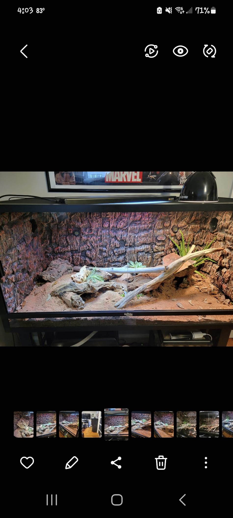Reptile Habitats 4x2x2 (120 Gallon) Reptile Enclosure V3 PVC Panels, Glass Doors, Lightweight, Heavy Duty Screen, Aluminum Frame customer photo 1
