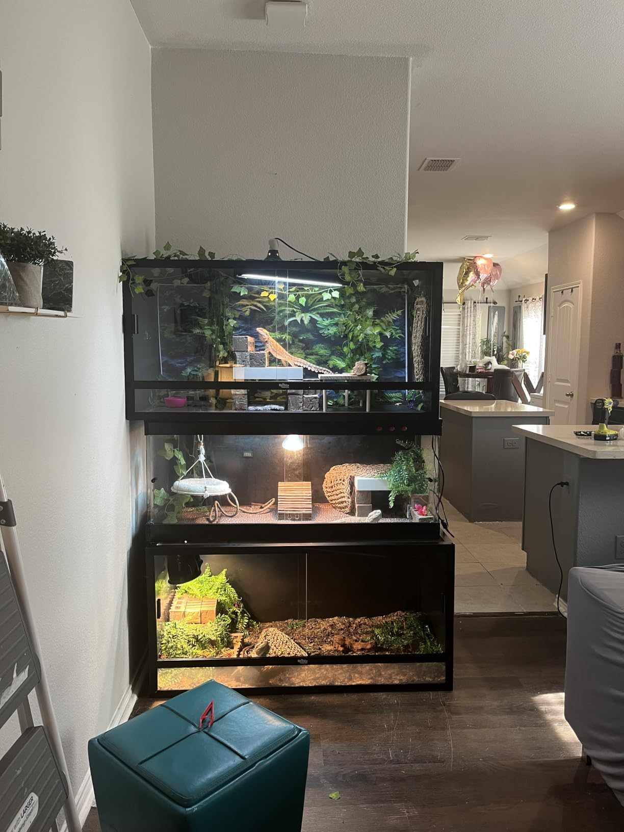Reptile Habitats 4x2x2 (120 Gallon) Reptile Enclosure V3 PVC Panels, Glass Doors, Lightweight, Heavy Duty Screen, Aluminum Frame customer photo 2