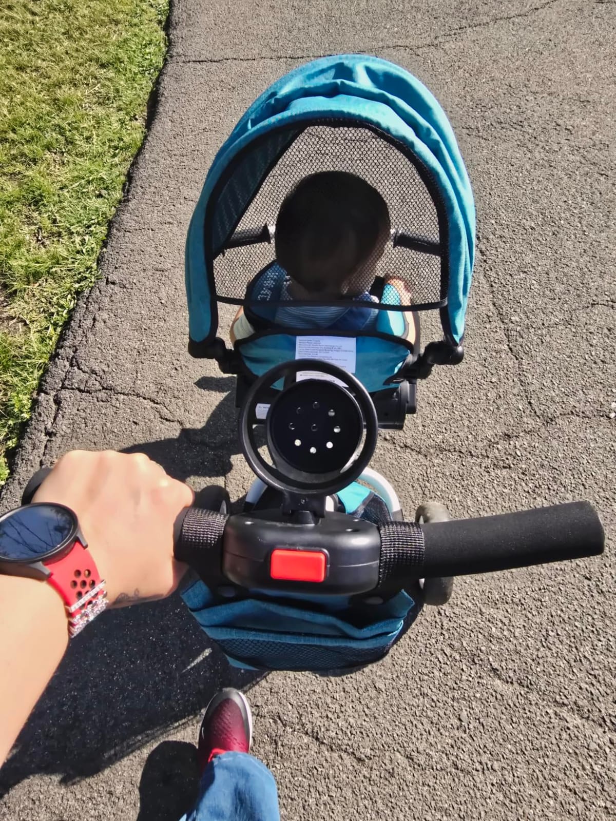 JMMD 8-in-1 Foldable Toddler Tricycle for Ages 1-5, Portable Trike Stroller with Parent Push Handle, 360° Swivel Seat, Canopy customer photo 1