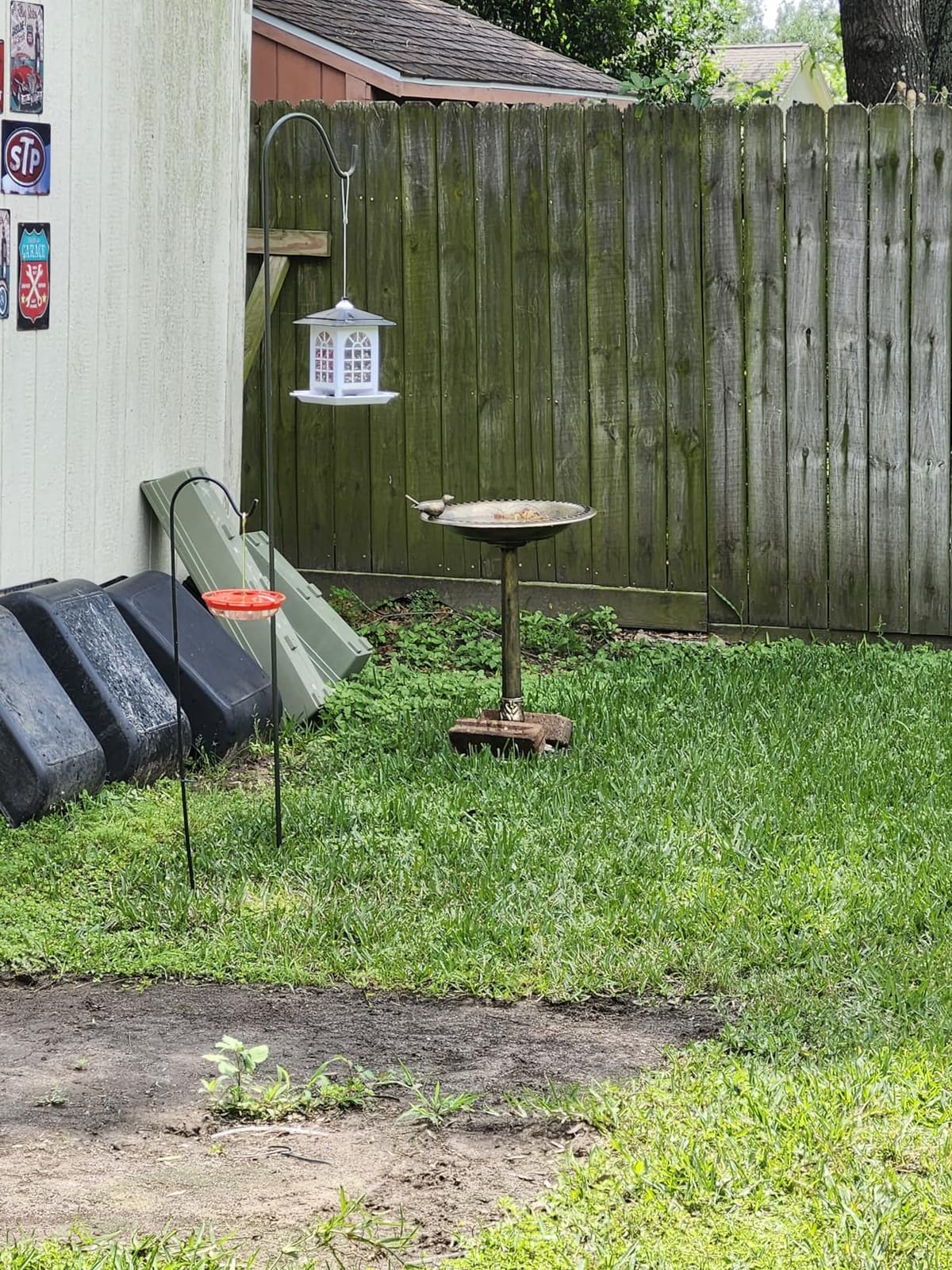 BACKYARD EXPRESSIONS PATIO HOME GARDEN 912449-WB Outdoor Garden Bird Bath - Bronze - Weather Resistant Polyresin - 30 Inch customer photo 1
