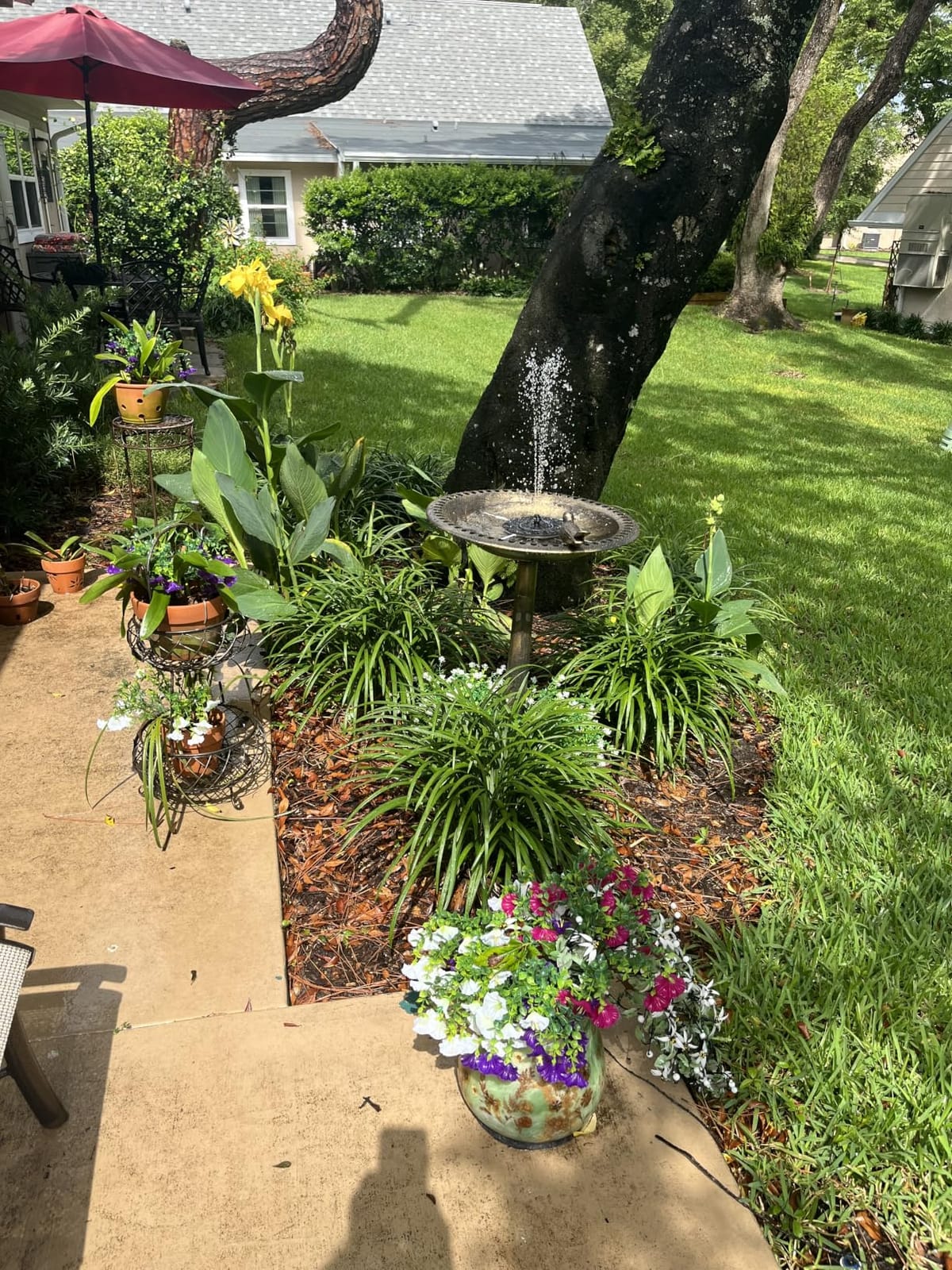 BACKYARD EXPRESSIONS PATIO HOME GARDEN 912449-WB Outdoor Garden Bird Bath - Bronze - Weather Resistant Polyresin - 30 Inch customer photo 2