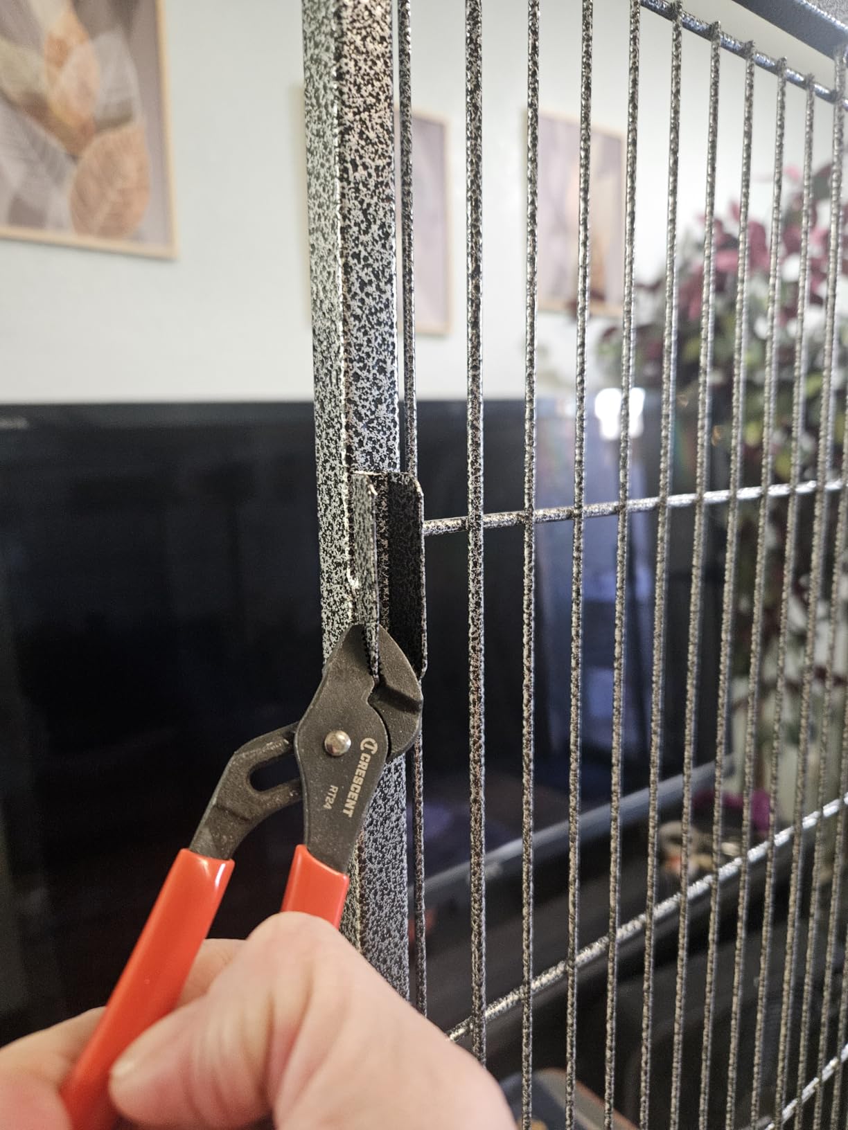 Yaheetech 60.5inch Extra Large Bird Cage Metal Parrot Cage Flight Cage for Cockatiels African Grey Quaker Green Cheek Sun Conure Medium Birds Parrots customer photo 1