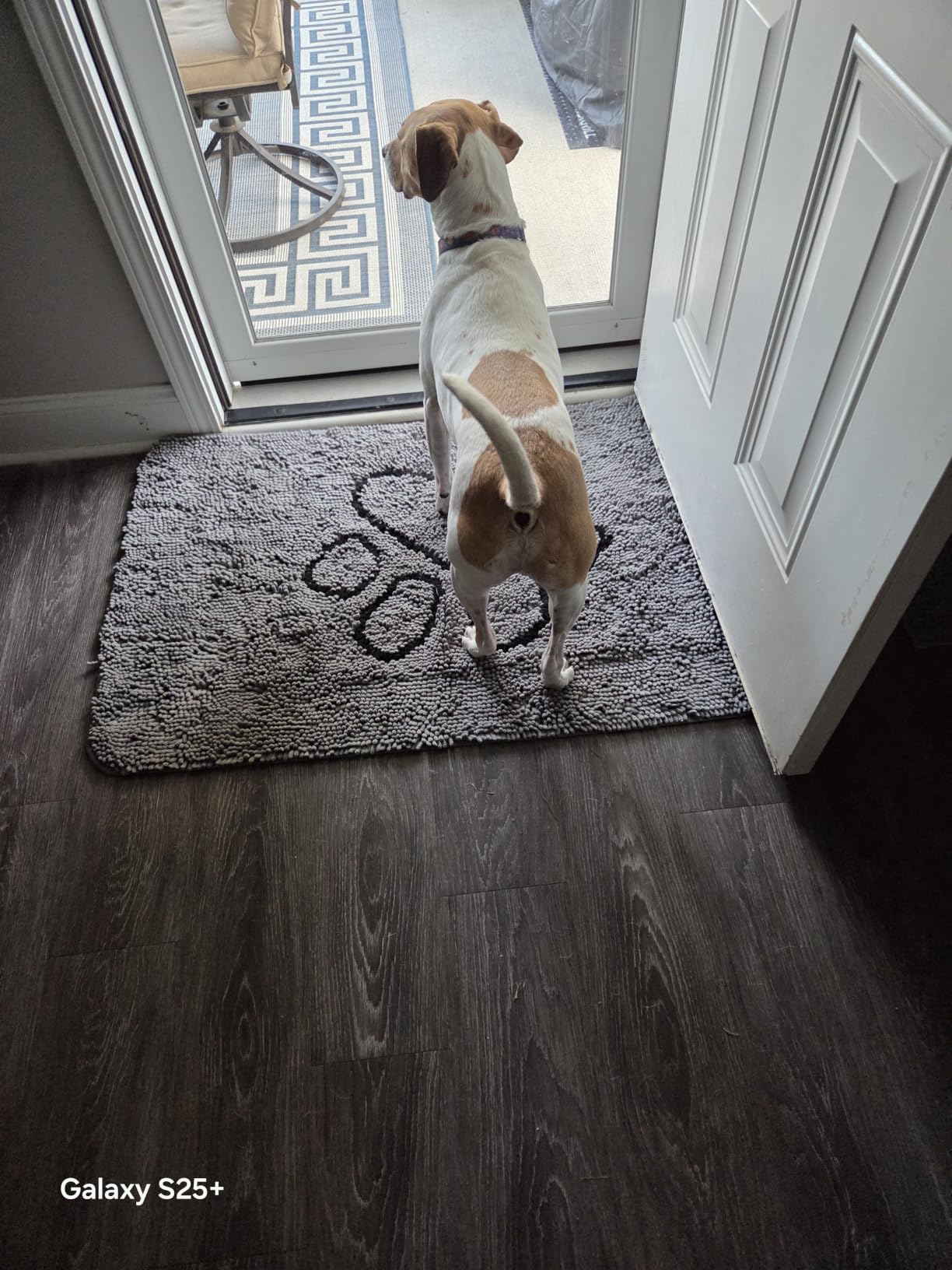OLANLY Dog Door Mat for Muddy Paws 48x30, Super Absorbent Chenille Mud Mat | Grey, Absorbs Moisture and Dirt, Non-Slip Machine Washable Doormat, Quick-Drying Indoor Entryway Floor Carpet for Dogs customer photo 1