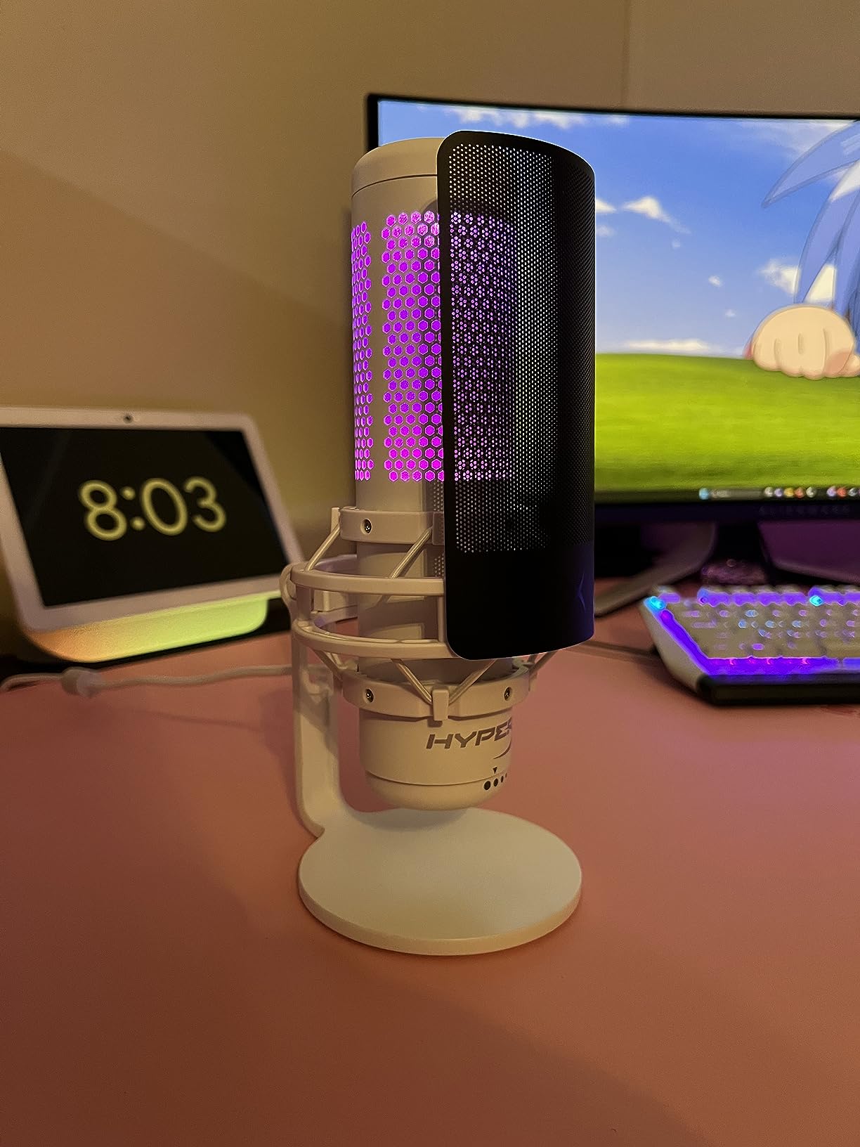 HyperX Shield Microphone Pop Filter customer photo 1