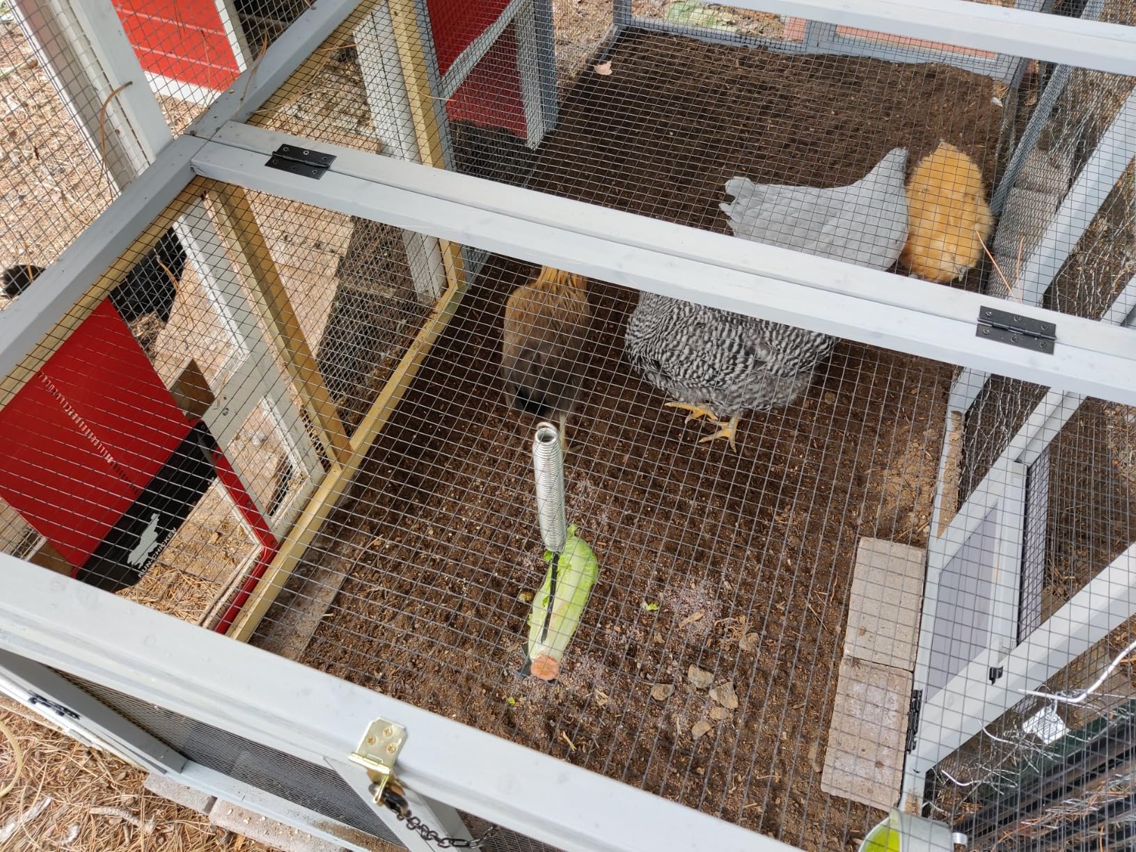 Gutinneen Chicken Coop Outdoor Wooden Hen House with Nesting Box Poultry Cage with 2 Perches,2 Large Front Doors customer photo 1