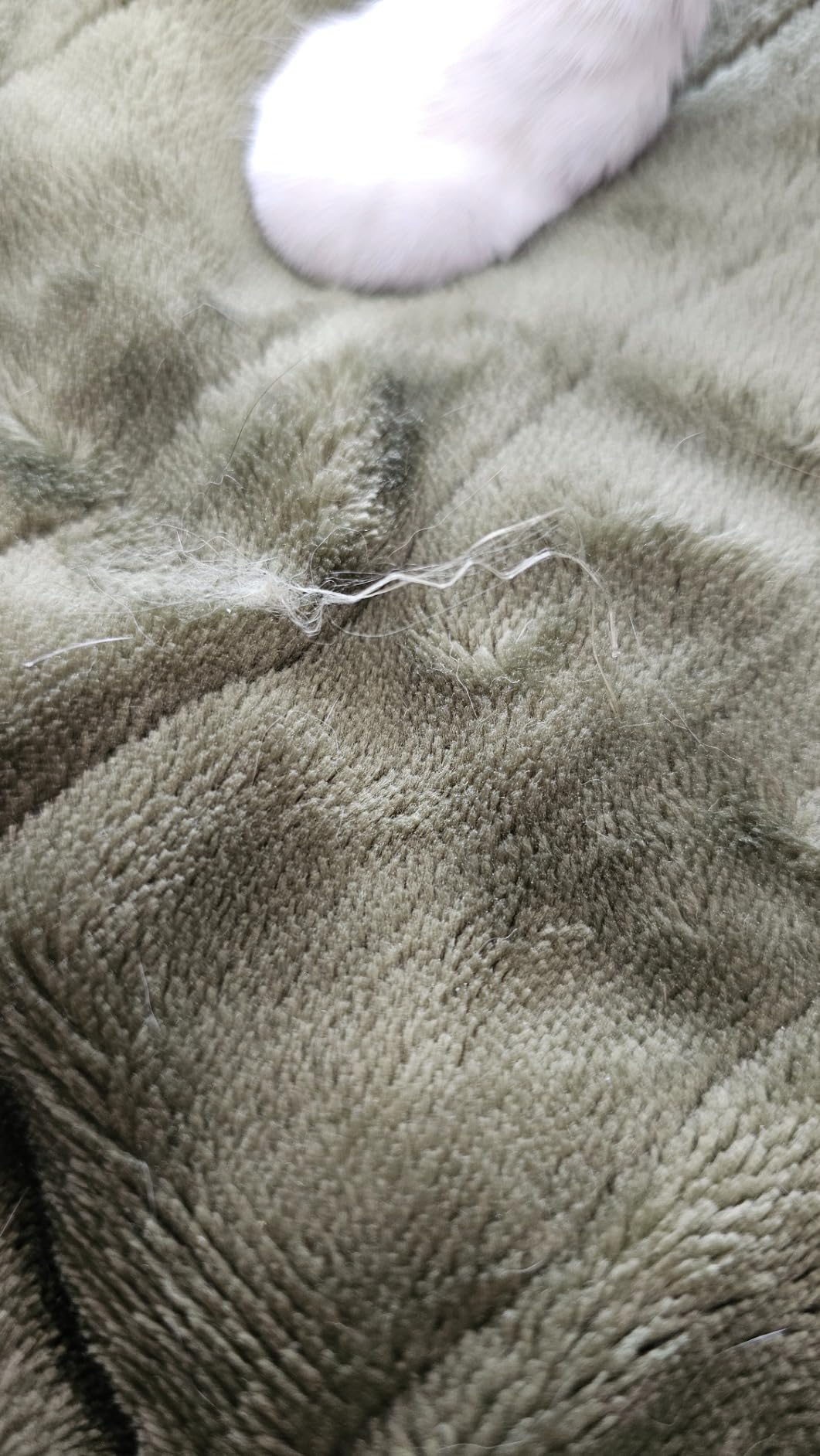 Bedsure Electric Blanket Twin with Preheat Function - Soft Flannel Heated Blanket Twin Size customer photo 2