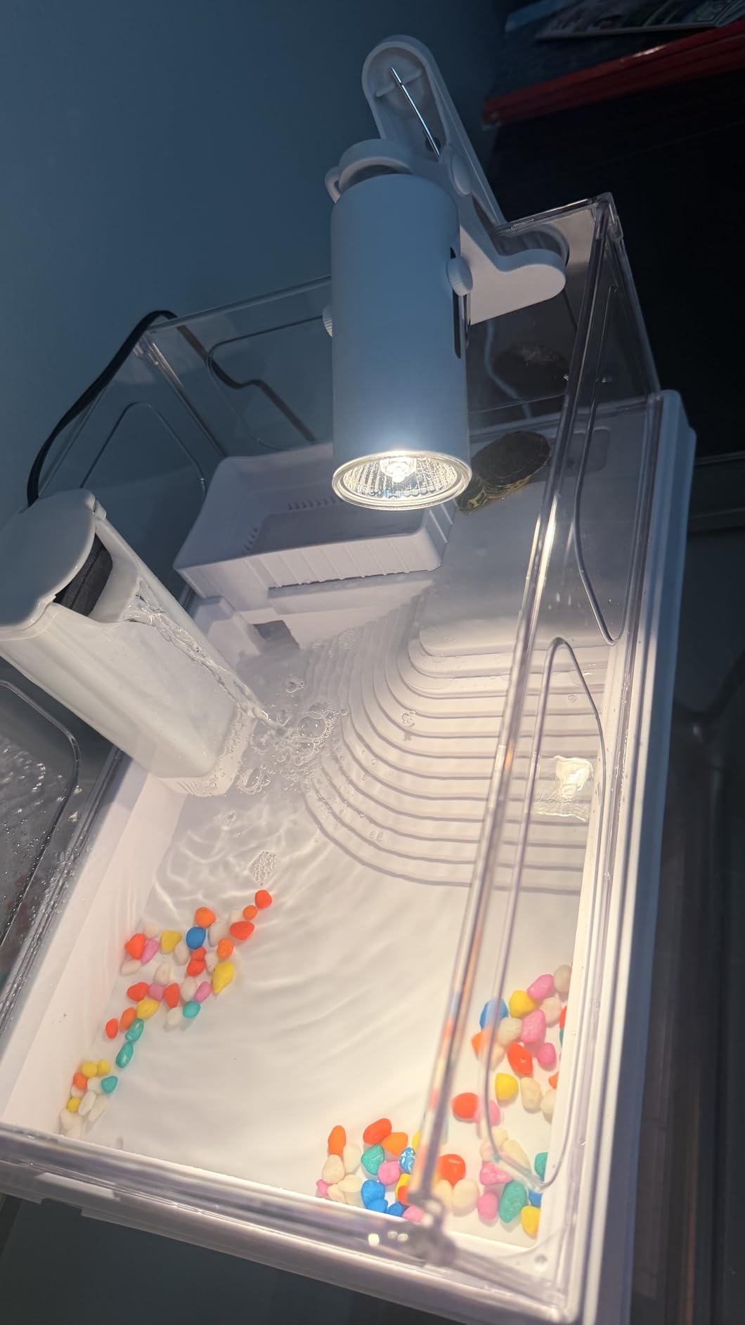 Small Turtle Tank Kit with Light and Filter for Baby Turtles | White Clear-Panel Habitat, with Basking Platform, Easy-Clean Starter Aquarium with Bottom Drain customer photo 2