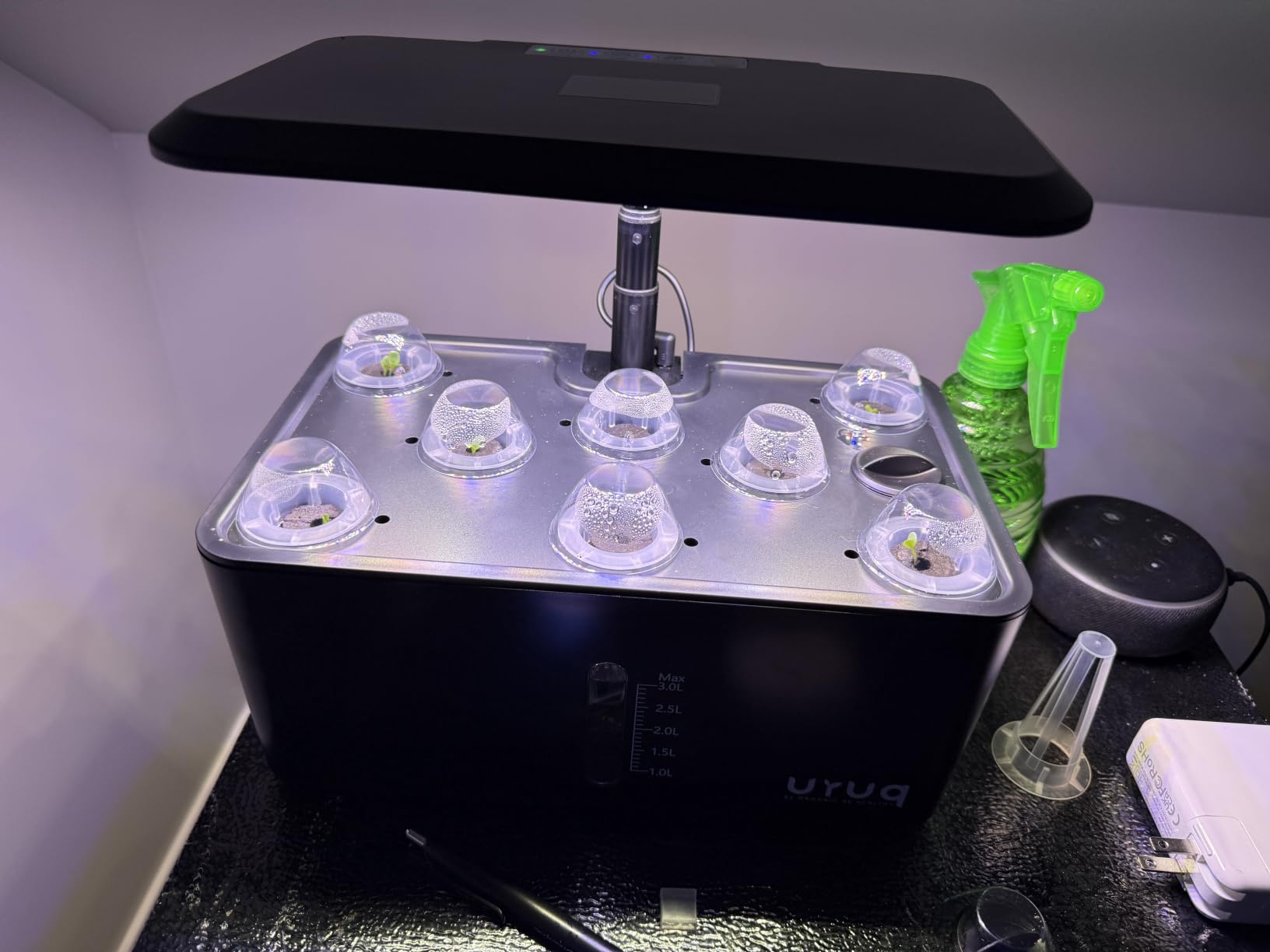 Hydroponics Growing System Indoor Garden: 8 Pods Herb Garden Kit Indoor with LED Grow Light Quiet Smart Water Pump Automatic Timer Healthy Fresh Herbs Vegetables customer photo 1