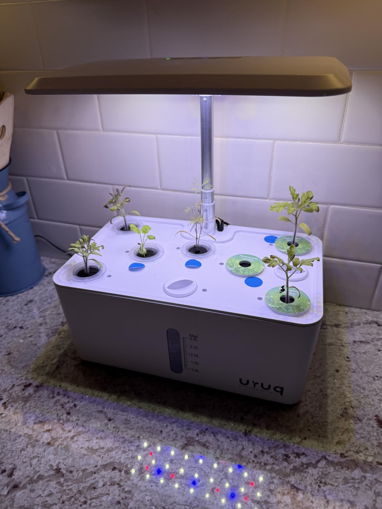 Hydroponics Growing System Indoor Garden: 8 Pods Herb Garden Kit Indoor with LED Grow Light Quiet Smart Water Pump Automatic Timer Healthy Fresh Herbs Vegetables customer photo 2