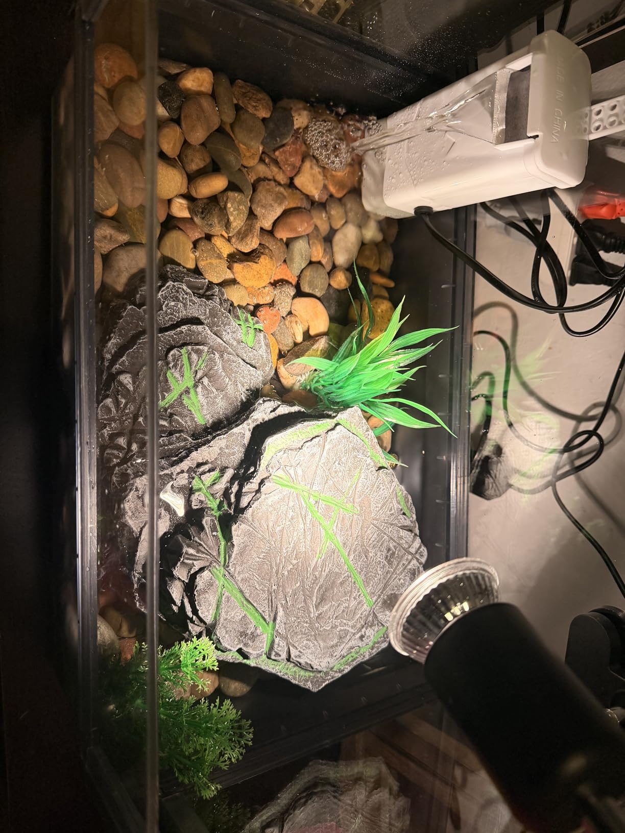 Large Turtle Tank Kit for Aquatic Turtles - Complete Starter Habitat with Filter, UVB Lamp, Basking Platform, Plants, Feeding Ring - Turtle Aquarium Kit (Black) customer photo 2