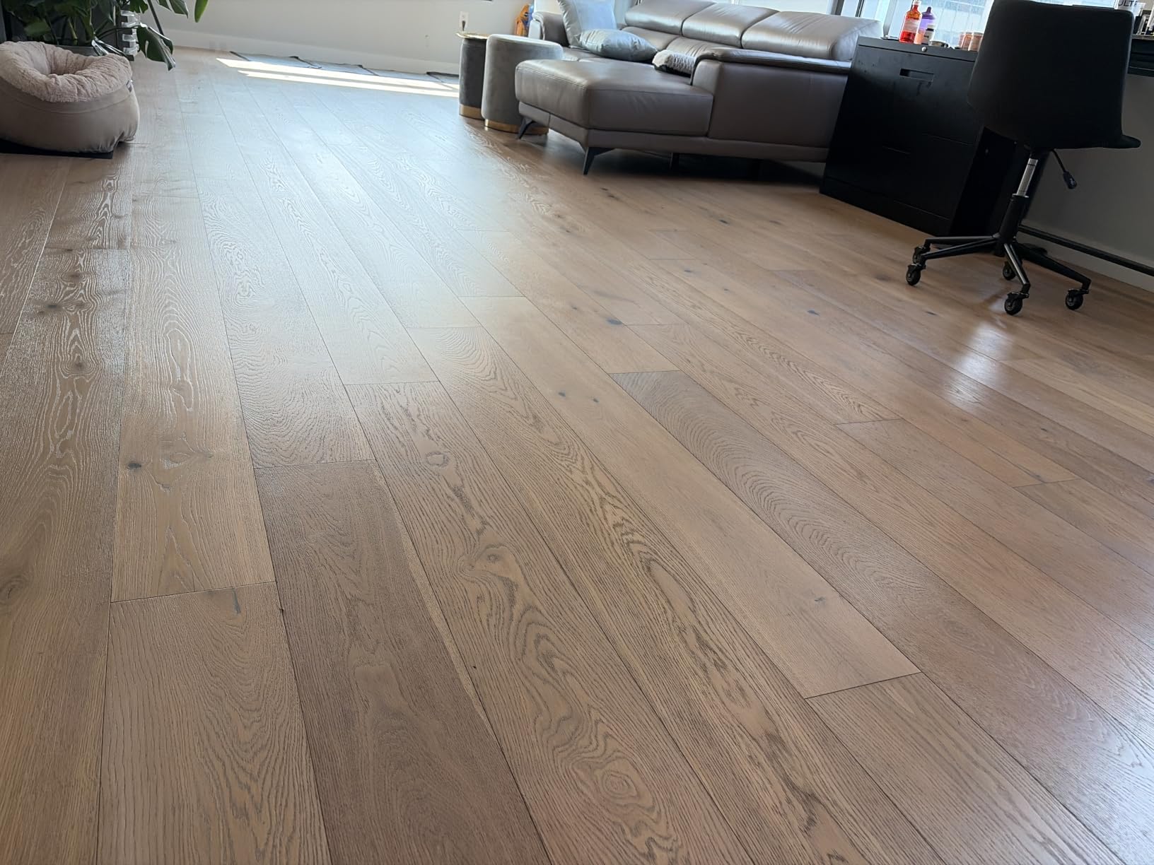 VEVOR Manual Carpet Sweeper, Non-Electric Floor Sweeper for Rugs & Wood | For Home Office Rugs Hardwood Surfaces Wood Floors Laminate, Cleans Pet Hair, 300 ml Dustbin Capacity, 7.87 in Sweeping Paths customer photo 2