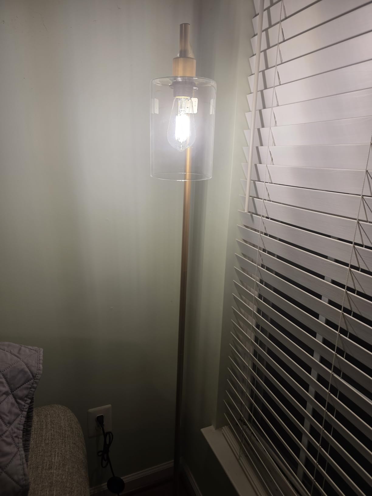 Ziisee Industrial Floor Lamp with Glass Shade - Black, LED Bulbs, Foot Pedal Switch, Easy Assembly customer photo 1