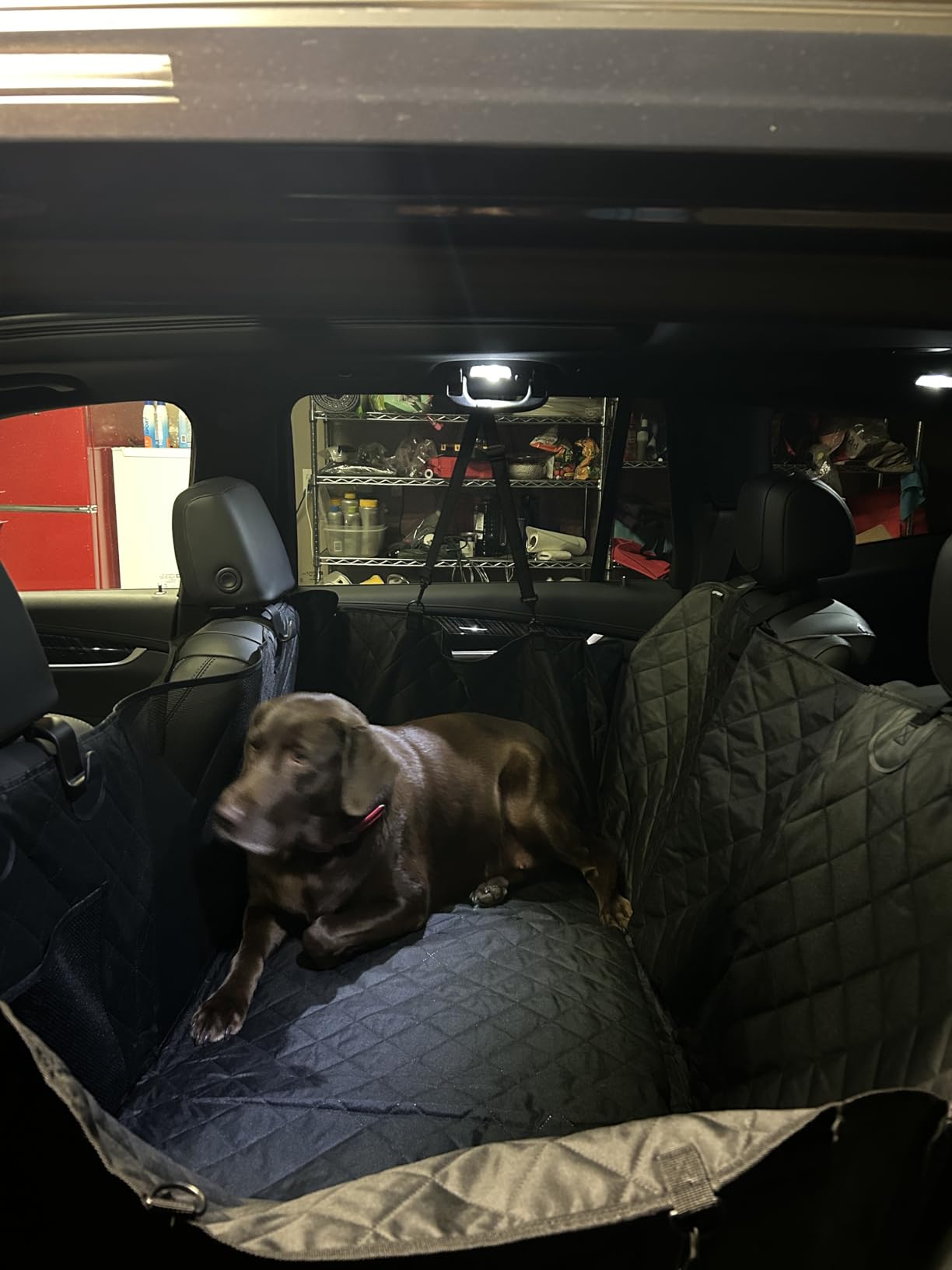 URPOWER Back Seat Extender for Dogs, Large Hard Bottom Dog Car Seat Cover | 550 lbs Support, Adds 45% More Space, High Density Foam Padding, Waterproof 900D Oxford Heavy Duty Dog Hammock for Car SUV customer photo 1