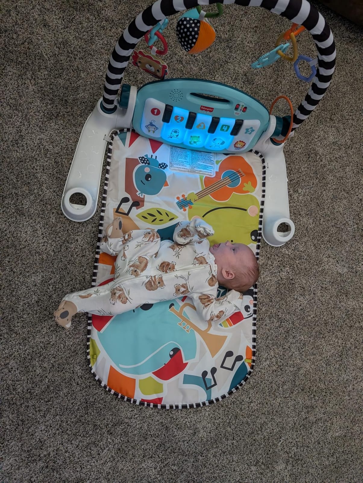 Fisher-Price Baby Playmat Glow and Grow Kick & Play Piano Gym, Blue Musical Learning Toy with Developmental Activities for Newborns 0+ Months customer photo 1