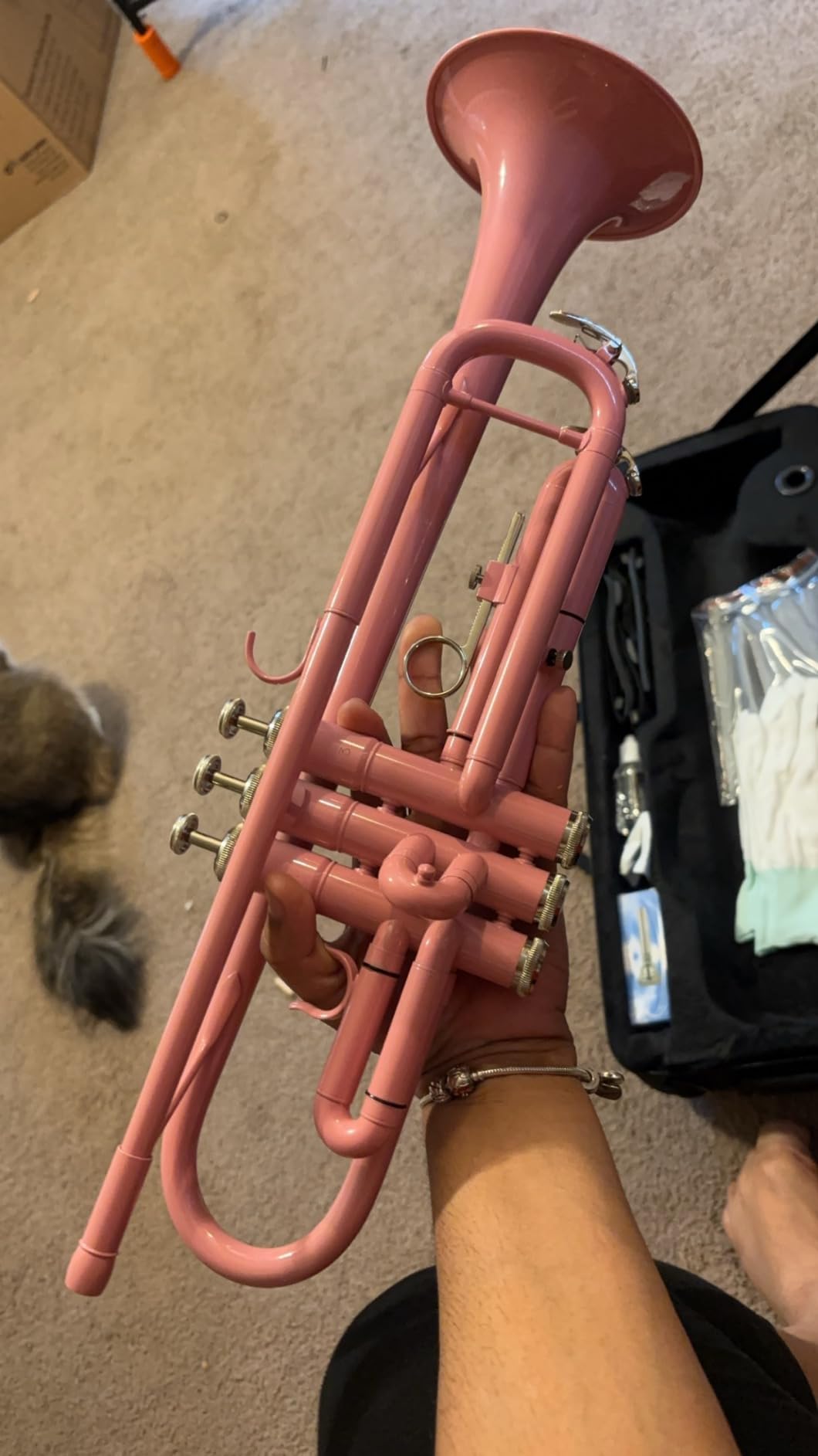 ROWELL Bb Trumpet Student Trumpet Standard Trumpets Set with Hard Case, Stand,7C Mouthpiece, Gloves for Beginner, Advanced Students and Adult Gold customer photo 2