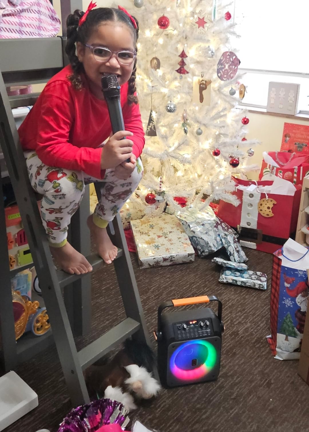 HWWR Karaoke Machine with 2 Wireless Microphones, Big Bluetooth Party Speaker with 500W Peak Power for Adults, PA System with Rolling Wheels and Trolley, Perfect for Outdoor, Home Party, Gatherings customer photo 2