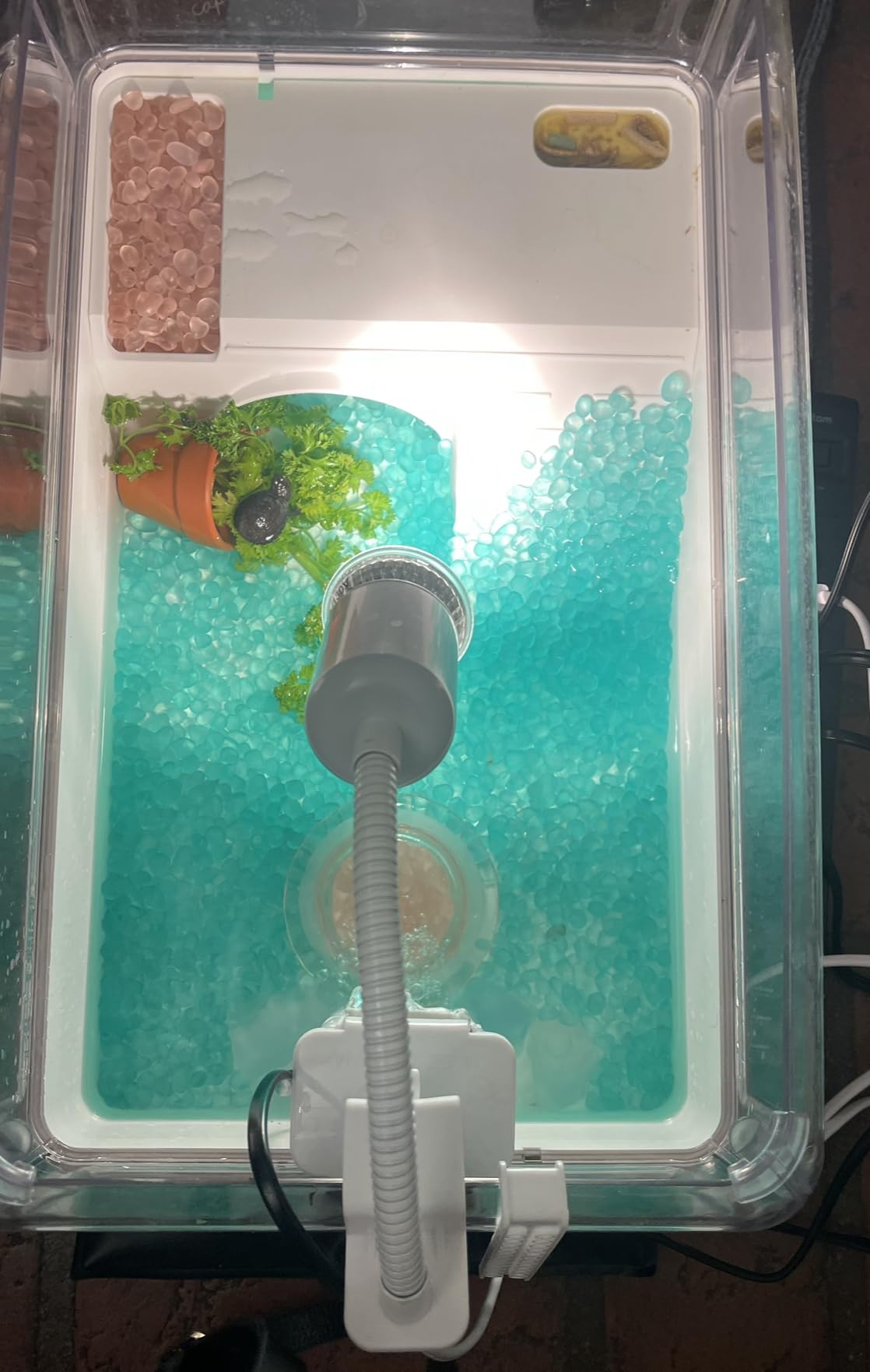 AZV Turtle Tank Starter Habitat Kit,Complete Aquatic Terrarium Enclosure | With Filter,Basking Platform with Hideout,Multi-Function Area,Drainage,Plants and Lamps,Perfect for Red Eared Slider Aquarium customer photo 1