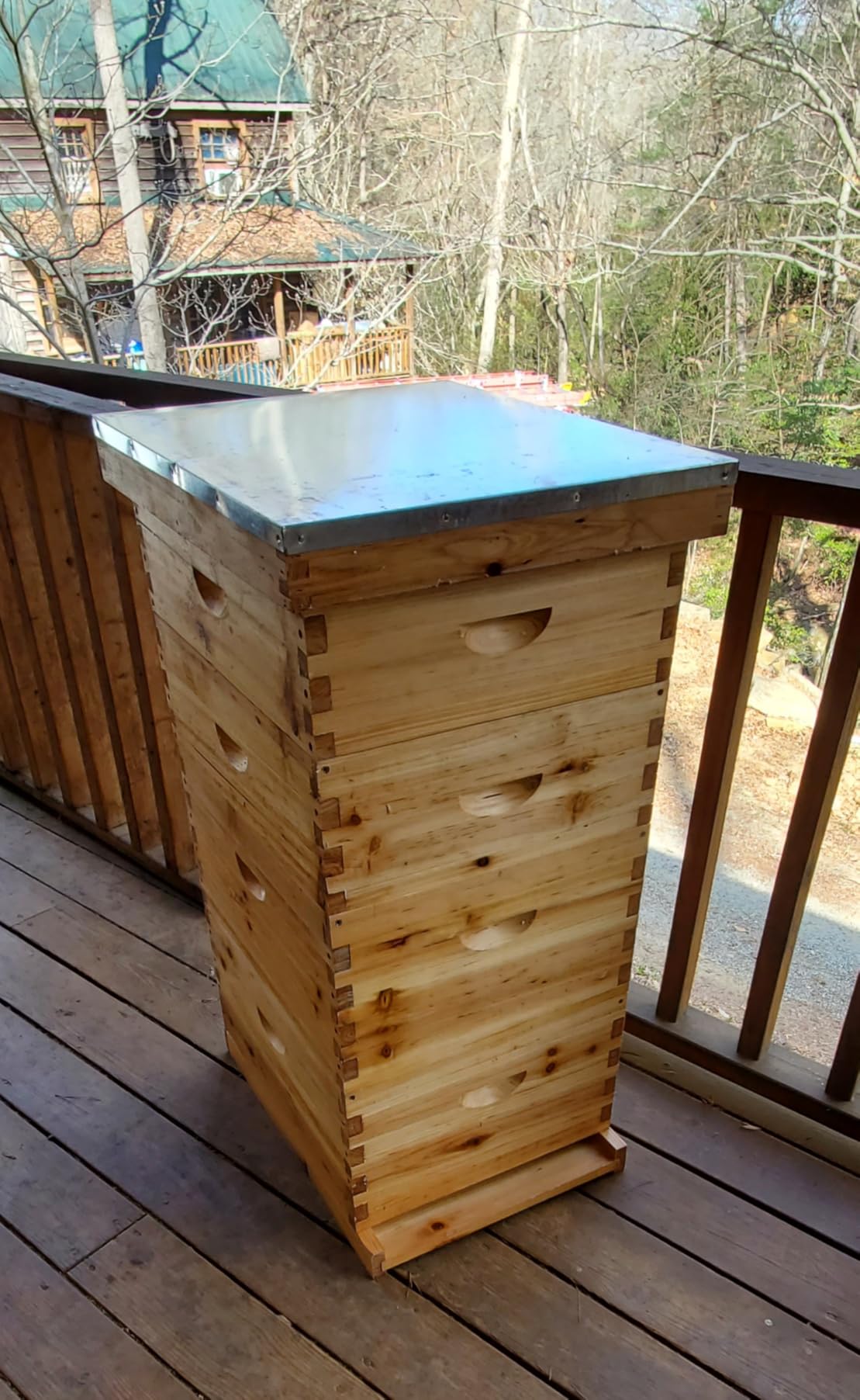 Honey Lake 10-Frame Langstroth Beehive Starter Kit, Beeswax Coated Complete Bee Hive Includes 2 Deep Brood Boxes & 2 Medium Super Bee Boxes with Beehive Frames and Foundations for Beekeepers (4 Layer) customer photo 2