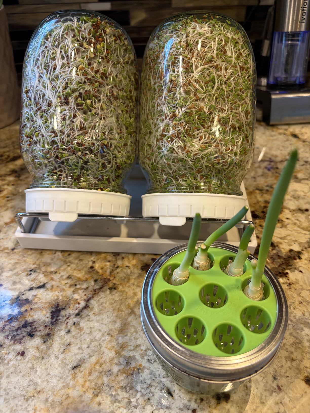 Sprouting Jar Kit - 2 Wide-Mouth Mason Jars with Stand and Sprout Lids customer photo 1