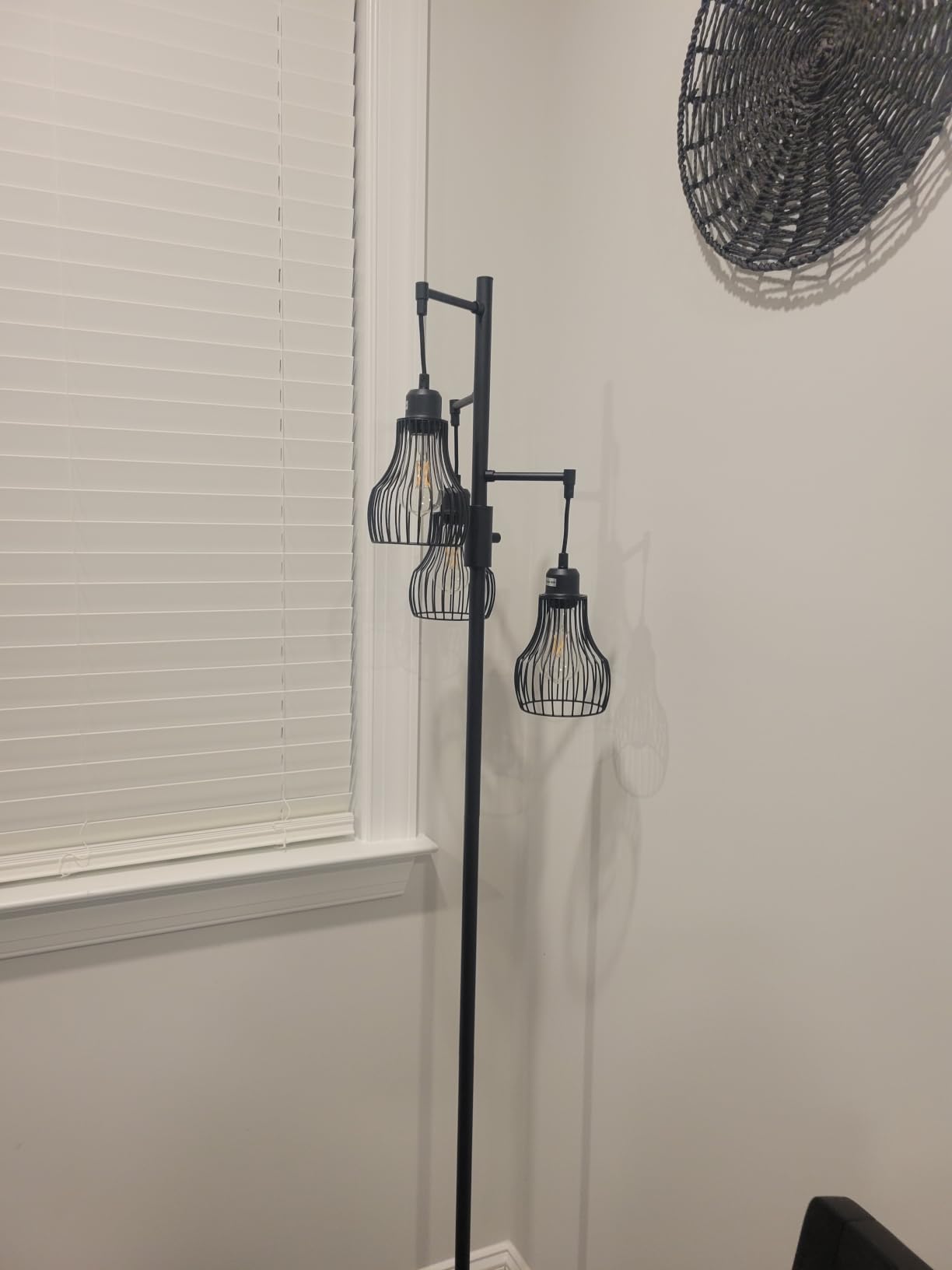 Ziisee Dimmable Floor Lamp, 3 x 800LM LED Edison Bulbs Included, Farmhouse Industrial Floor Lamp Standing Tree Lamp with Elegant Cage Tall Lamps for Living Room Bedroom Office - Black customer photo 1
