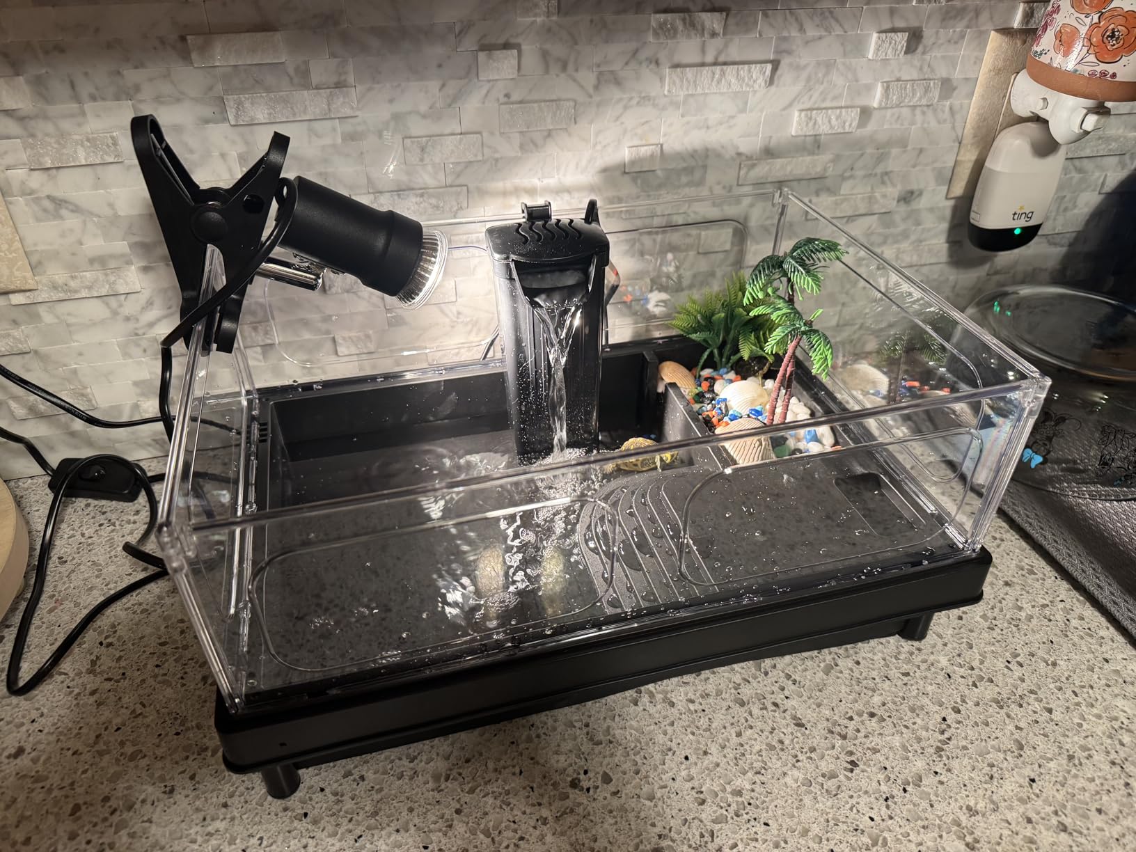 MoonOrange Small Turtle Tank Kit, Acrylic Turtle Tank Starter Kit with Basking Platform, Bottom Drainage, Multi-Function Areas for Turtles, Crabs, Crayfish, Small Reptiles (Black Kit) customer photo 2