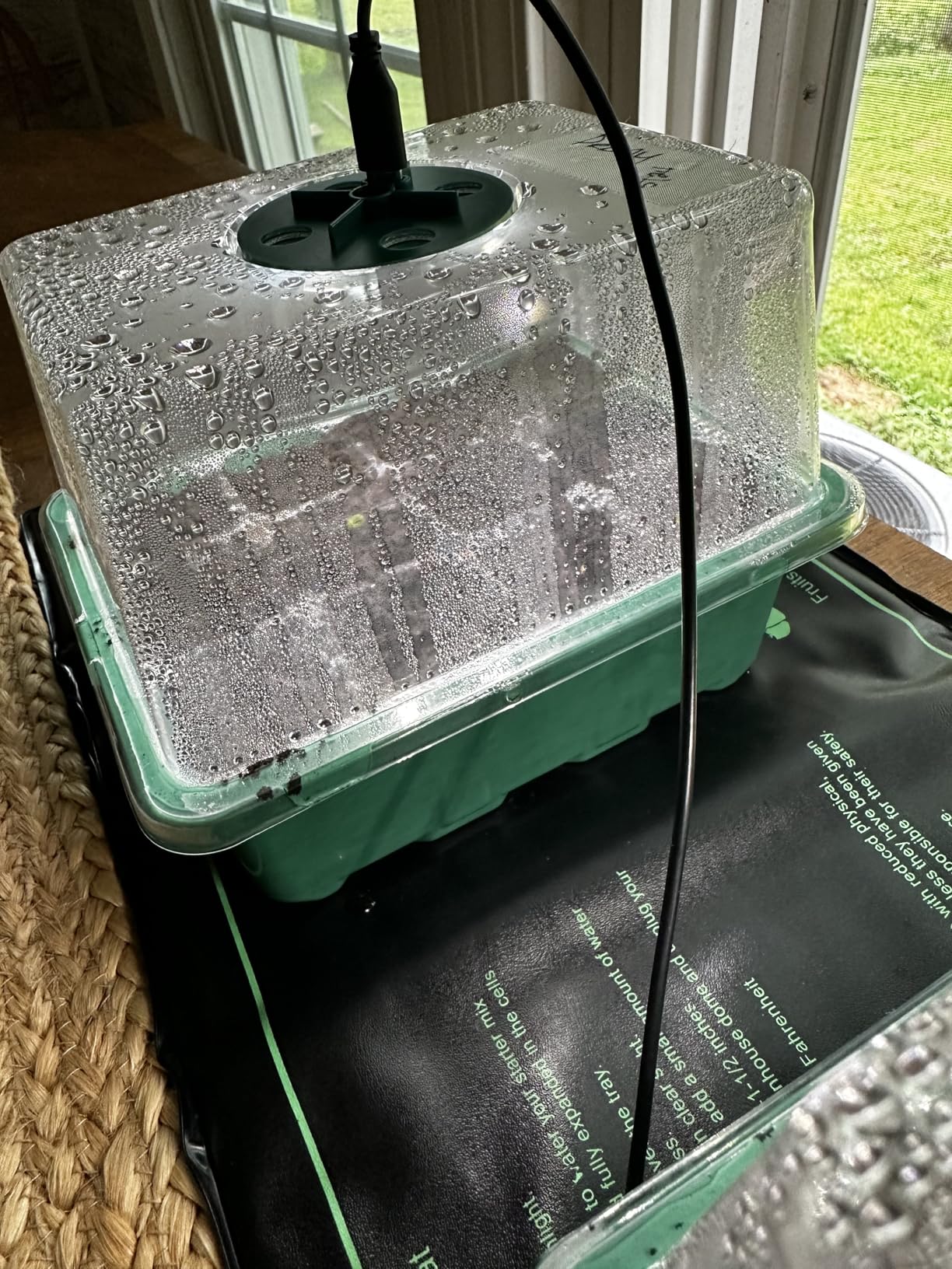 Seed Starter Trays with Grow Lights and Heat Mat, 72 Cells Seed Starter Kit with Lights, 3 Lighting Mode, 4 Timing Set, Germination Kit for Seed Starting Trays with High Humidity Control Domes customer photo 1