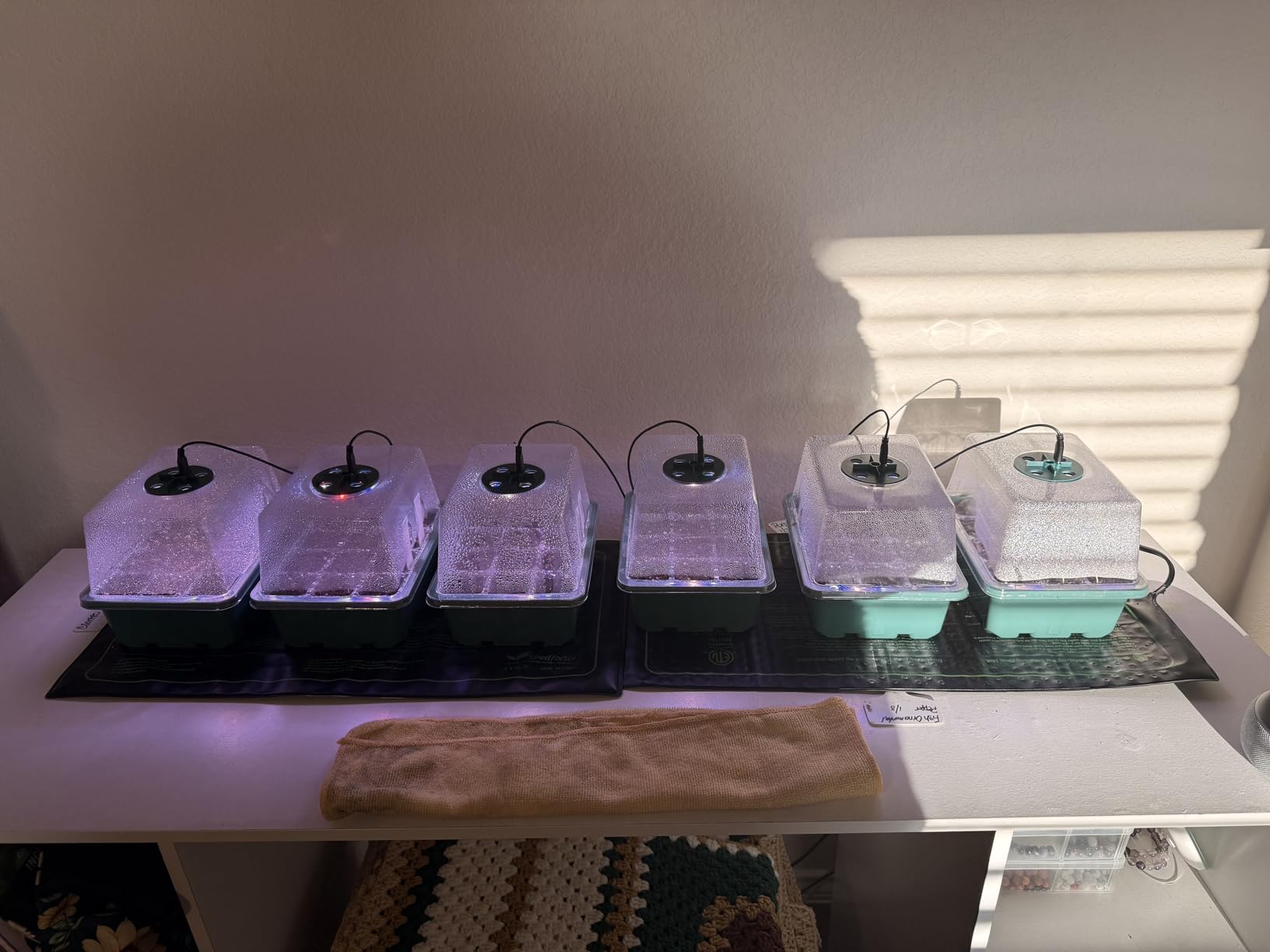 Seed Starter Trays with Grow Lights and Heat Mat, 72 Cells Seed Starter Kit with Lights, 3 Lighting Mode, 4 Timing Set, Germination Kit for Seed Starting Trays with High Humidity Control Domes customer photo 2