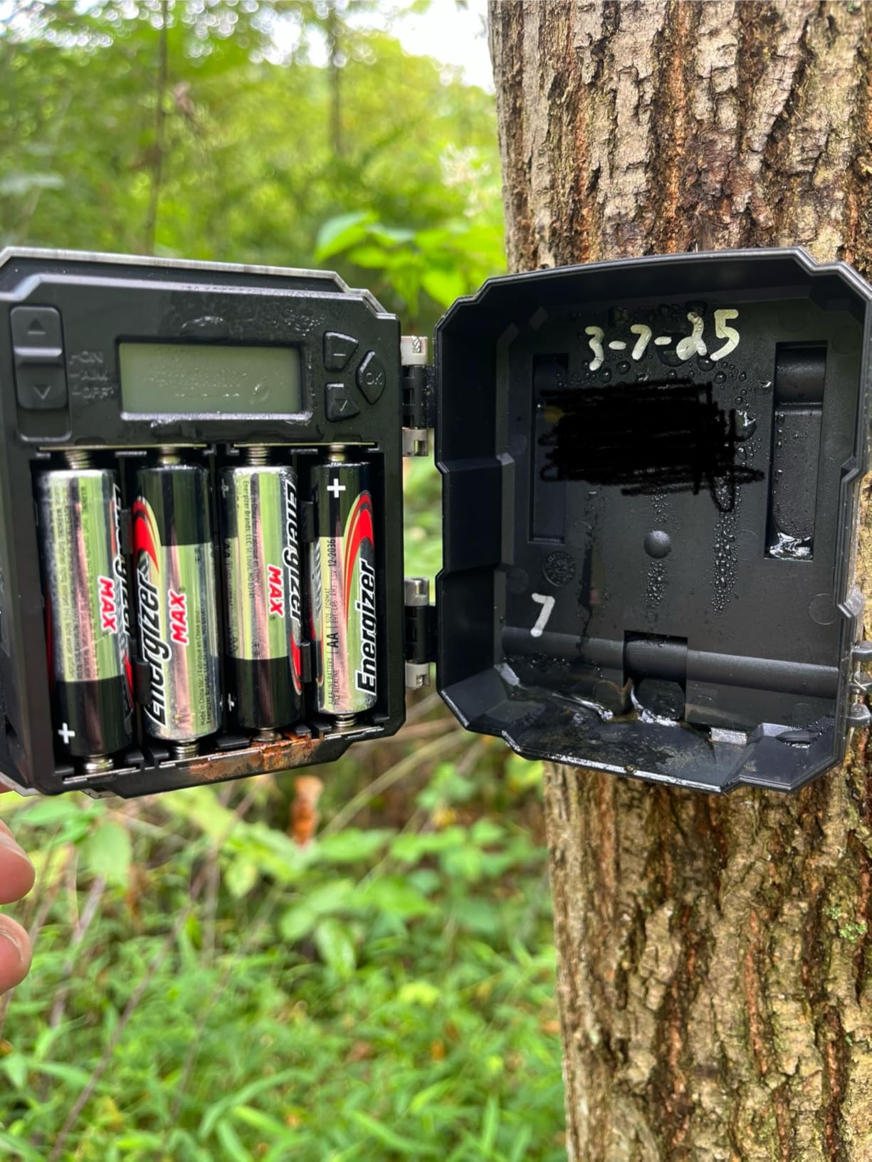 WOSODA Mini Trail Camera 4 Pack 30MP 1080P HD, Game Cam with SD Card, Waterproof Tiny Deer Camera Night Vision Motion Activated with Fast Trigger Time for Outdoor Wildlife Monitoring customer photo 1