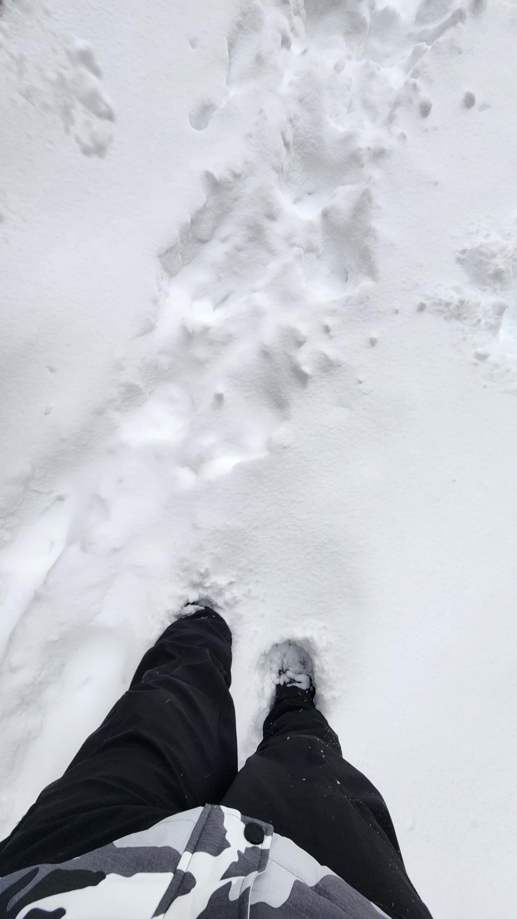 Columbia Men's Bugaboot III Snow Boot customer photo 1
