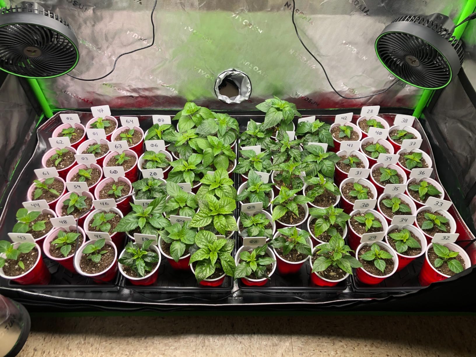 VIVOSUN Smart Pro Grow Tent Kit 4x4 Complete Smart Grow System WiFi-Integrated Automatic Control GrowHub E42A+, 2-in-1 Tunable Spectrum LED Grow Light 400W, 360° Ventilation Control System customer photo 1