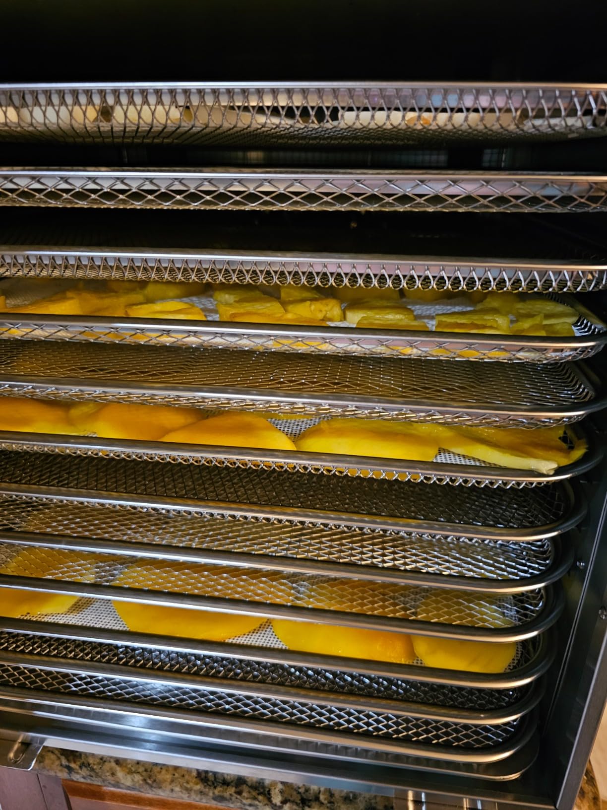 Commercial Large 12 Trays Food Dehydrator, Usable Area up to 22.67ft², 1200W Full Stainless Steel Dryer Machine, up to 190°F Temperature, for Meat, Fruit, Veggies, Beef, Herbs, Pet Foods customer photo 1