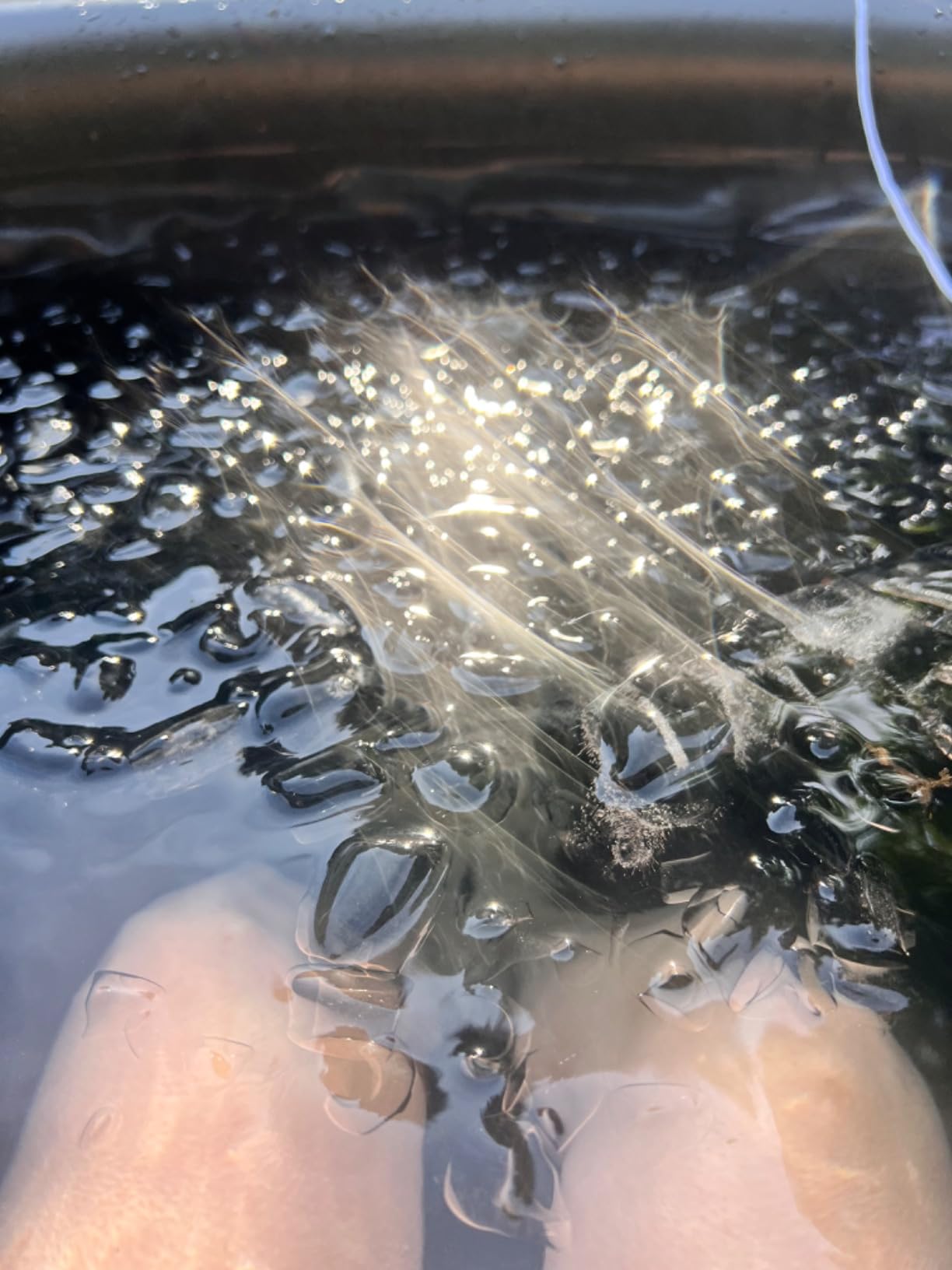 The Cold Pod Ice Bath Tub for Athletes with Cover: 88 Gallons Cold Plunge Tub for Recovery, Multiple Layered Portable Ice Bath Plunge Pool customer photo 1