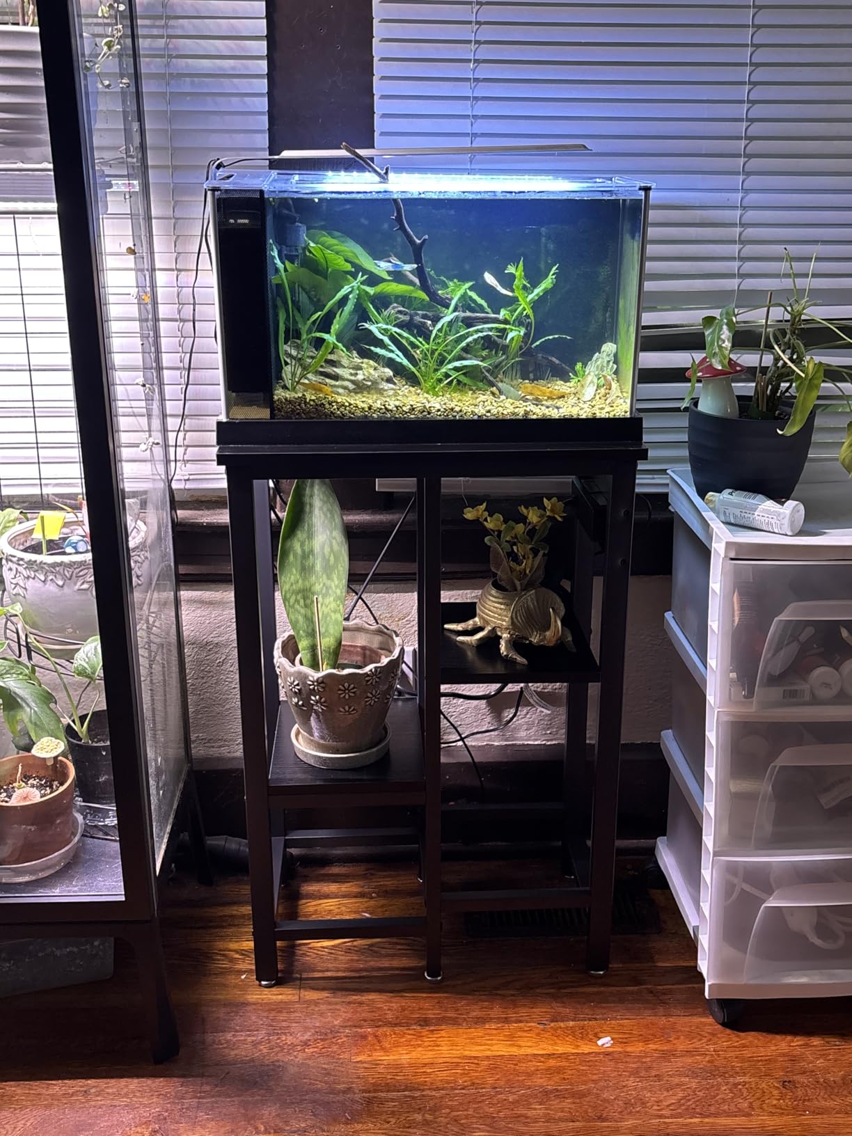 Bestier 20-29-37 Gal Fish Tank Stand with Power Outlet, Rustic Brown, 30x13 | 6-Leg Steel Frame, 3-Tier Adjustable Shelves for Filters Storage, 400Lbs Capacity, 5-In-1 Power Outlet, 4 Leveling Feet customer photo 1