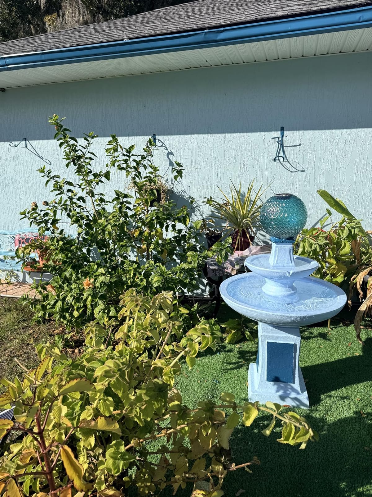 POPOSOAP Solar Fountain Pump with 3600mAh Battery Backup, 8W Solar Powered Bird Bath Fountain with Dry-run Protection & Double-layer Nozzles 5Ft Tubing for Pond, Bird Bath, Backyard Water Feature customer photo 1