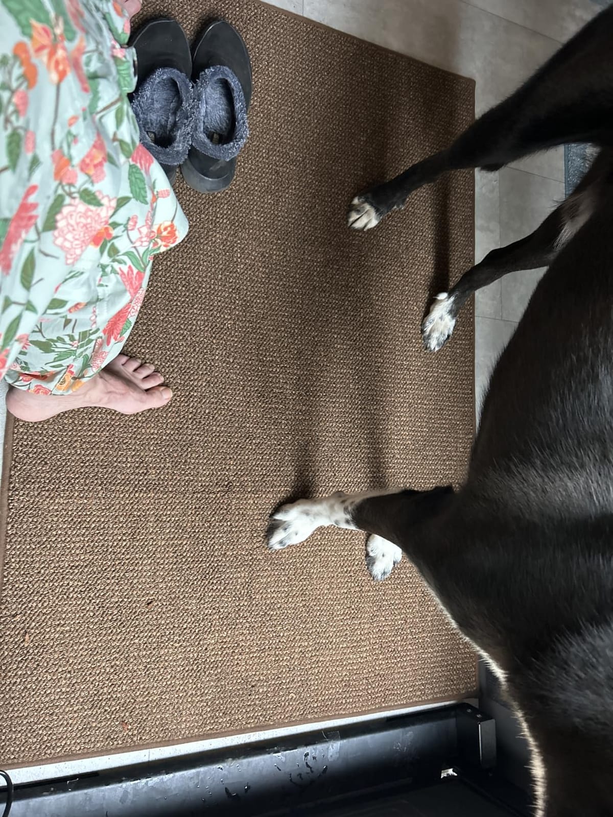 BEQHAUSE Dirt Trapper Door Mat 32