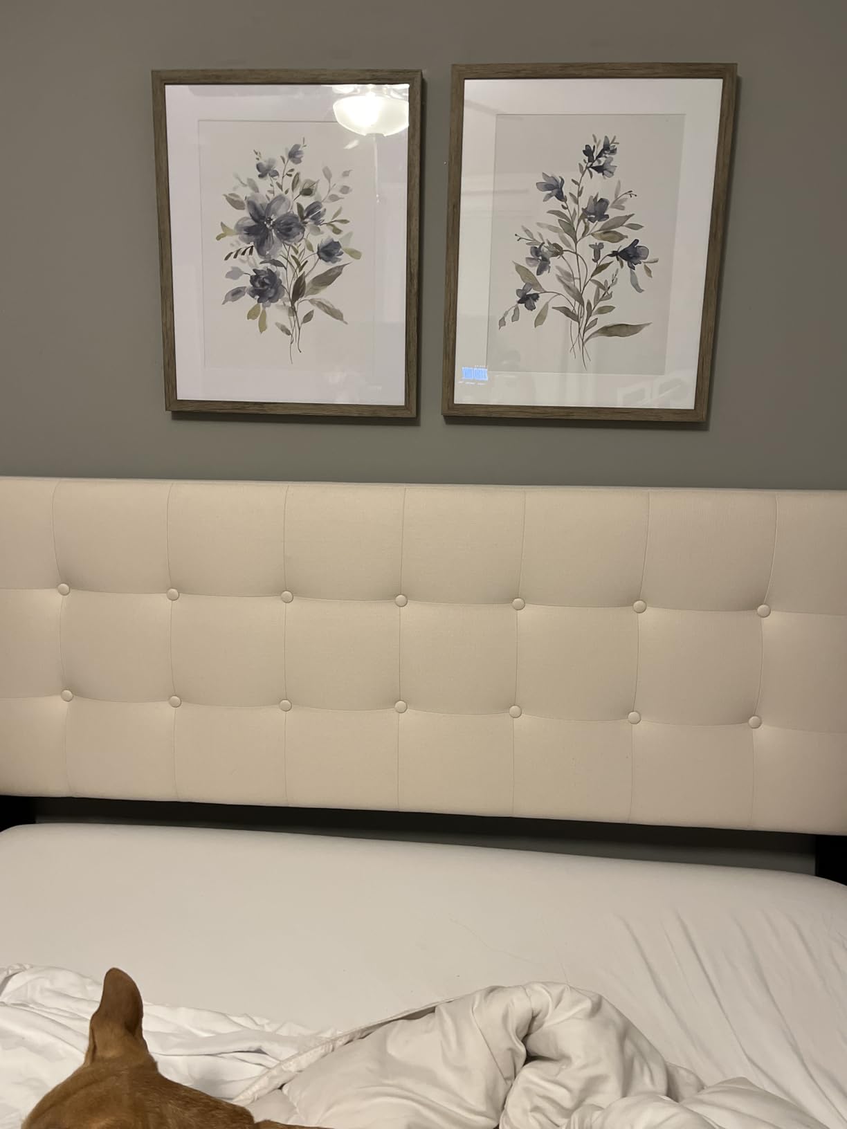 Zinus 5 Inch Twin Cooling Essential Memory Foam Mattress, Medium Feel | Designed for Cooler Sleep, Soothing Pressure Relief, Just-Right Medium Feel, CertiPUR-US & OEKO-TEX Certified Materials customer photo 2