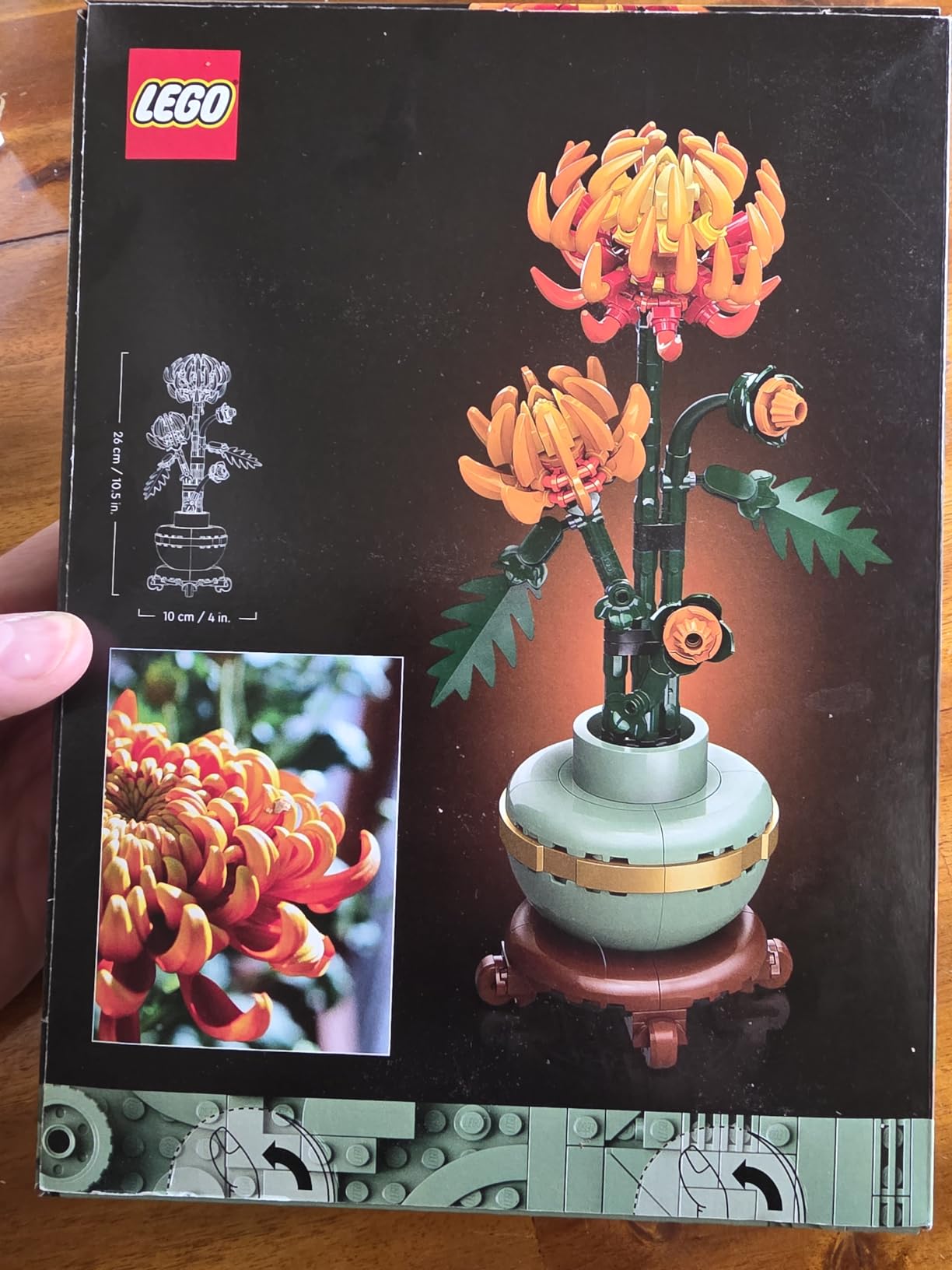LEGO Botanicals Chrysanthemum Building Set for Adults Ages 18+ - Artificial Flower for Dinner Table Centerpieces & Decoration - Gift for Birthdays - 10368 customer photo 2
