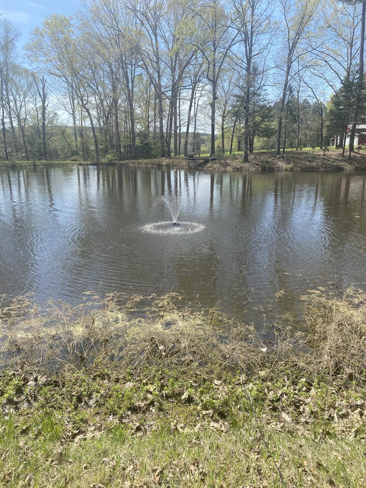 100W Floating Solar Pond Fountain Pump Kit for Ponds Deeper Than 3 Feet and At Least 10 Feet Wide customer photo 1