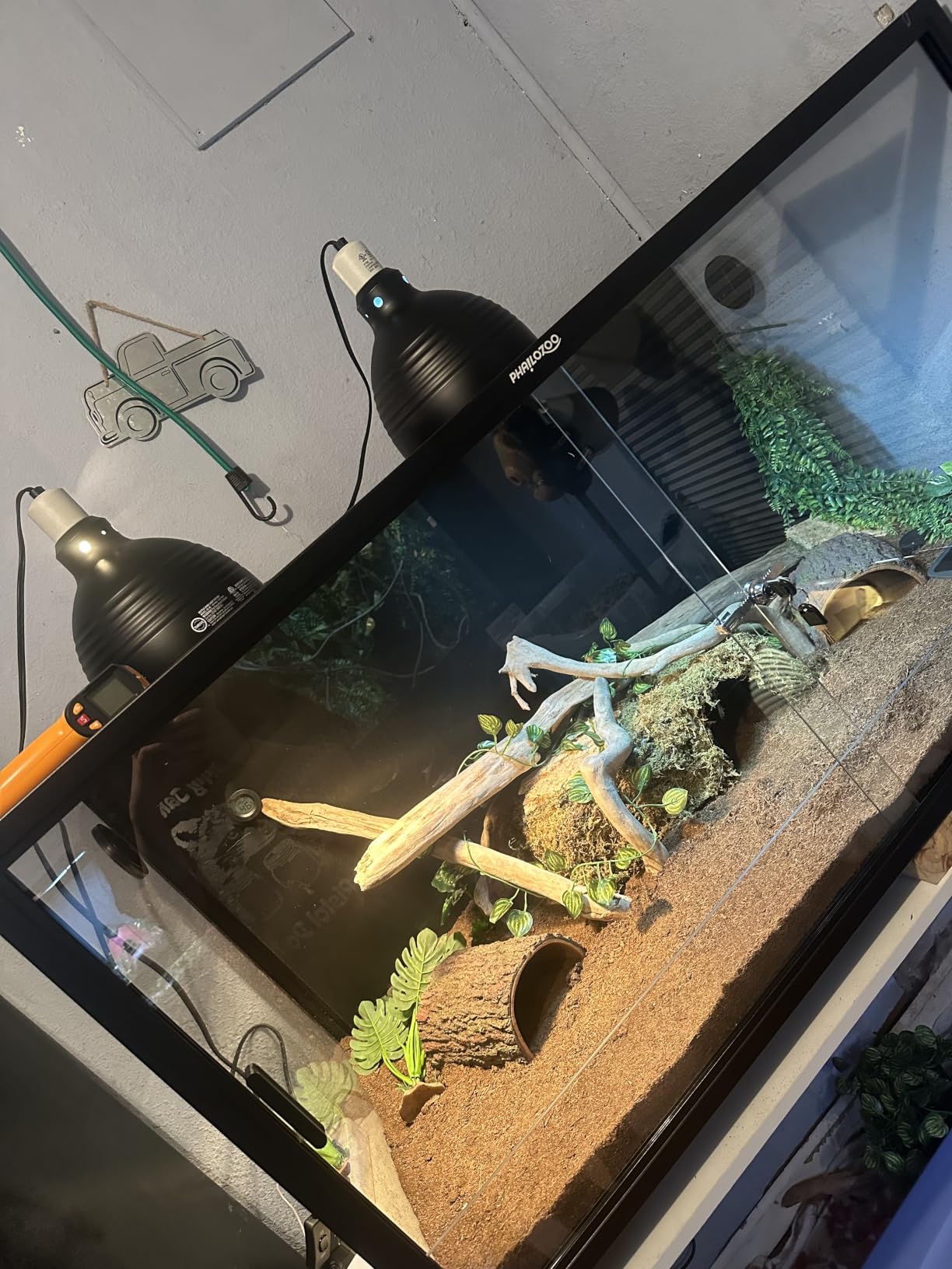 Phailozoo 120 Gallon Reptile Tank for Bearded Dragon, Snake, Adult Reptile | Optimal Ventilation & Light Penetration by Rust Proof Mesh Top customer photo 2