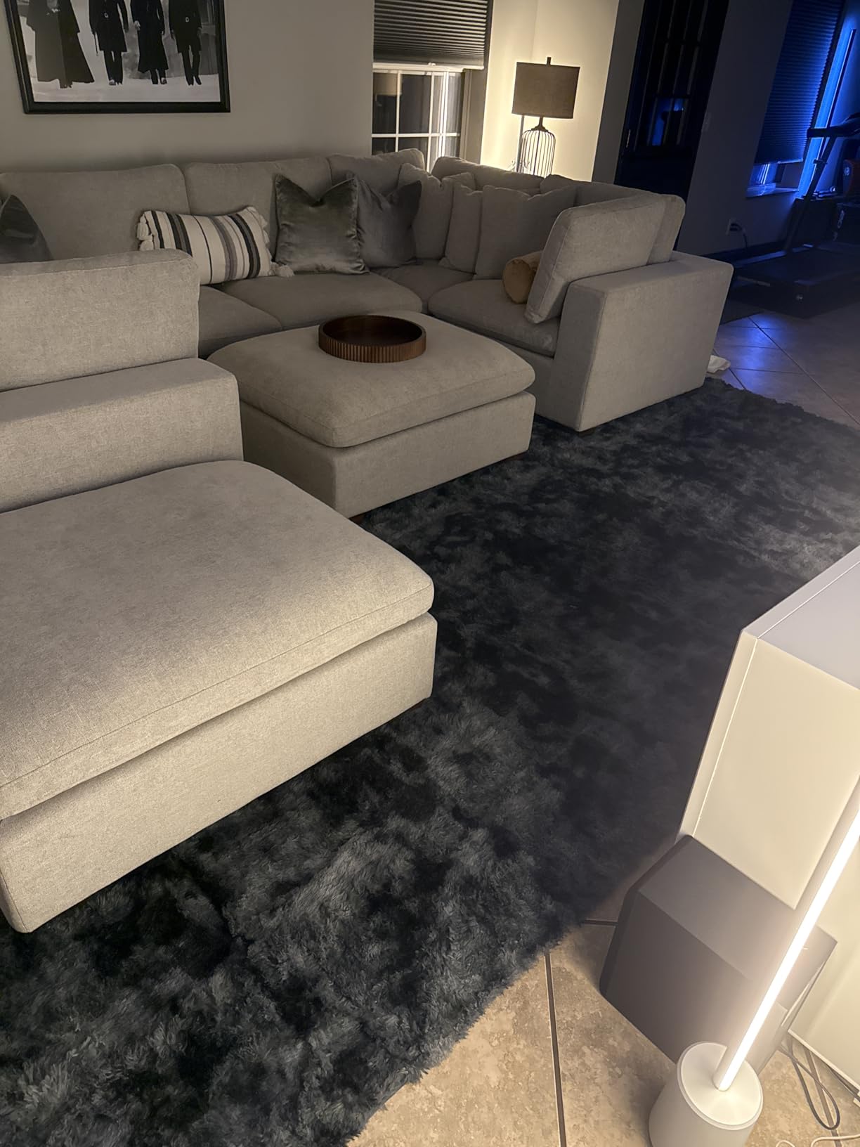 Deerhoo Large Shag Area Rugs 9 x 12 for Living Room Bedroom, Light Grey | Soft Fuzzy Furry, Washable, Non-Slip, High Pile, Indoor Carpet Bedroom Nursery Kids Boys Home Decor customer photo 2