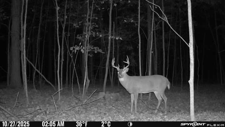 SPYPOINT Flex-M Twin Pack Cellular Trail Cameras - Best Hunting Accessories, No WiFi Needed, GPS, Night Vision, Dual-Sim LTE, IP65 Water-Resistant Game Camera, 28MP Photos, 720p Videos + Sound (2) customer photo 1