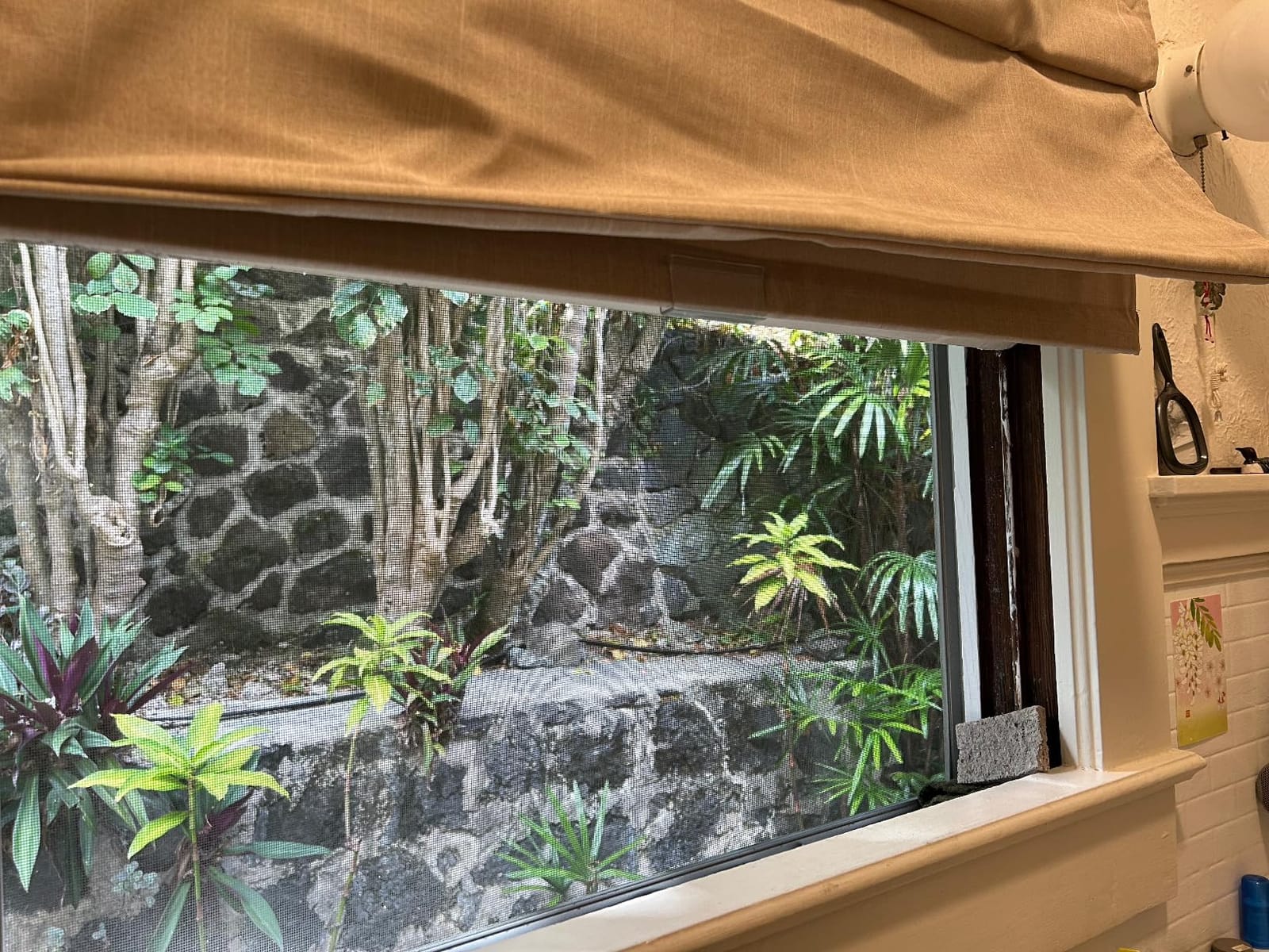 Chicology Cordless Roman Window Shade, Belgian Flax, 24