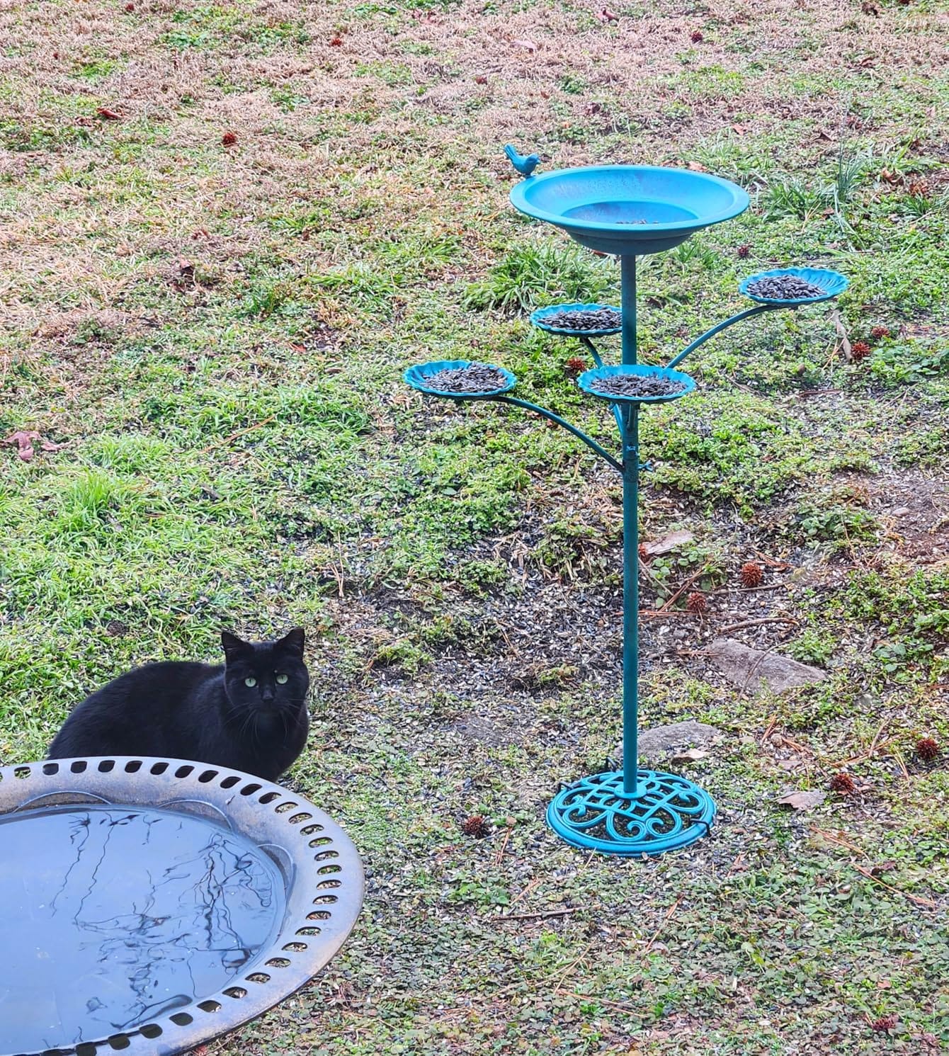 Bird Bath with Solar Fountain, Durable 5-Prong Base Solar Bird Bath with Stable Metal Stake, Detachable Solar Powered Bird Baths for Garden Outdoor Yard Lawn, Spotted Green customer photo 1