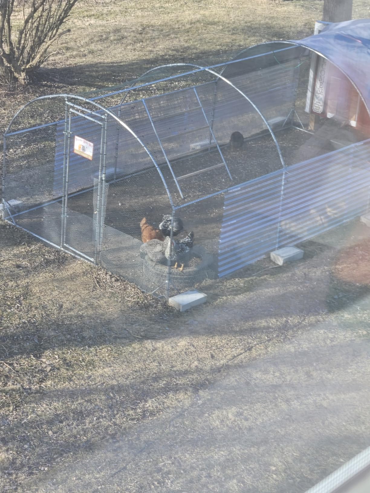 VEVOR Large Metal Chicken Coop, 9.8x13.1x6.5 ft Large Walk in Chicken Runs for Yard with Cover, Hen House Enclosure with Security Lock, Outdoor Duck Rabbit Cage Poultry Pen for Backyard, Farm, Yard customer photo 1