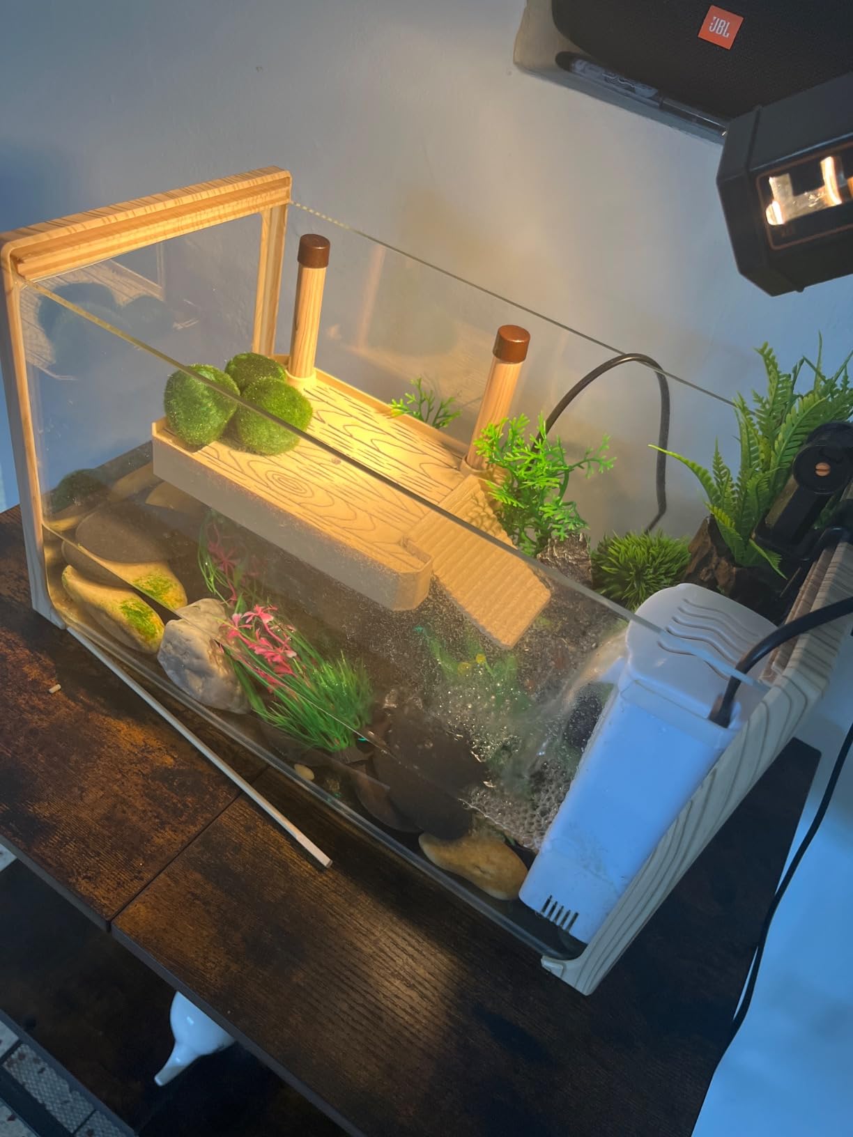 Okkbi Turtle Aquarium Kit Series - New - Aquatic Turtle Tank with Filter and Light + Basking Platform, Perfect Starter Kit for Baby & Juvenile Turtles customer photo 2